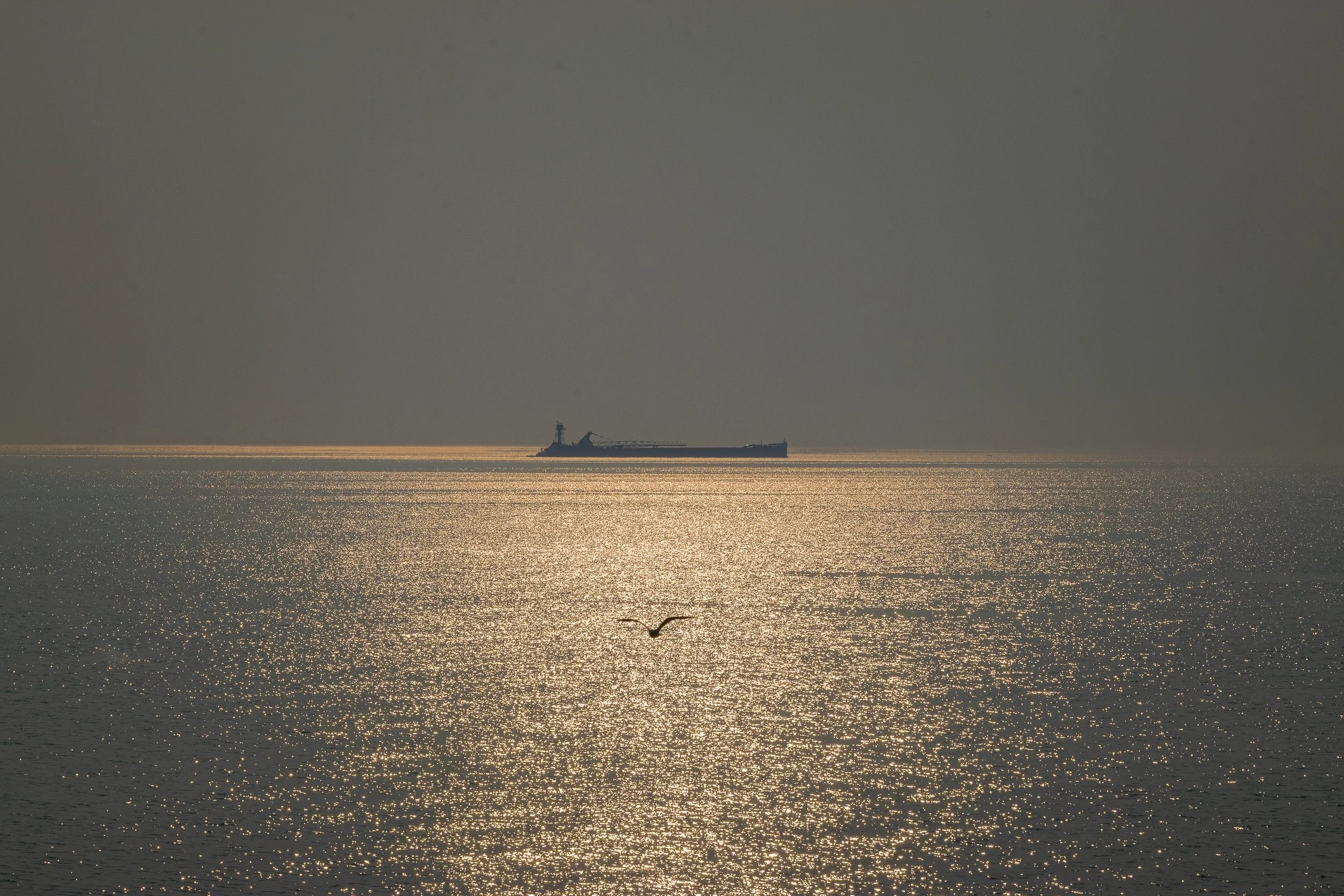 20230618-DSC_01420079.jpeg