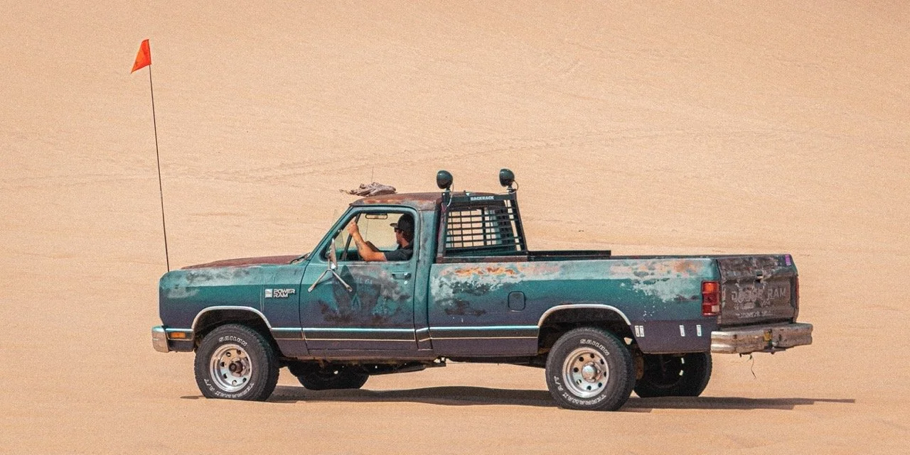 20230603-DSC_04950470 Large.jpeg