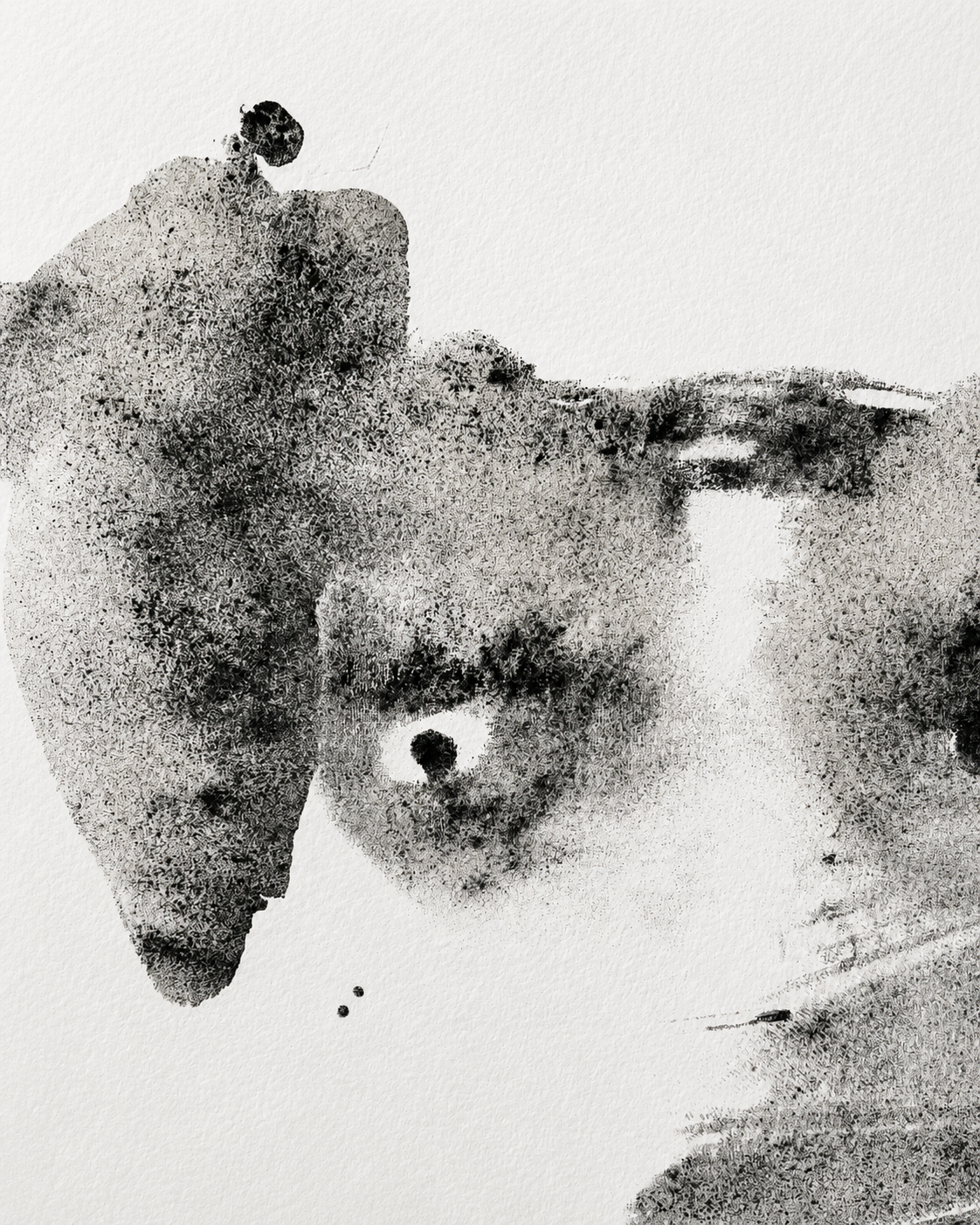d2639f20-b309-4d6f-9766-a4f83e183081.png