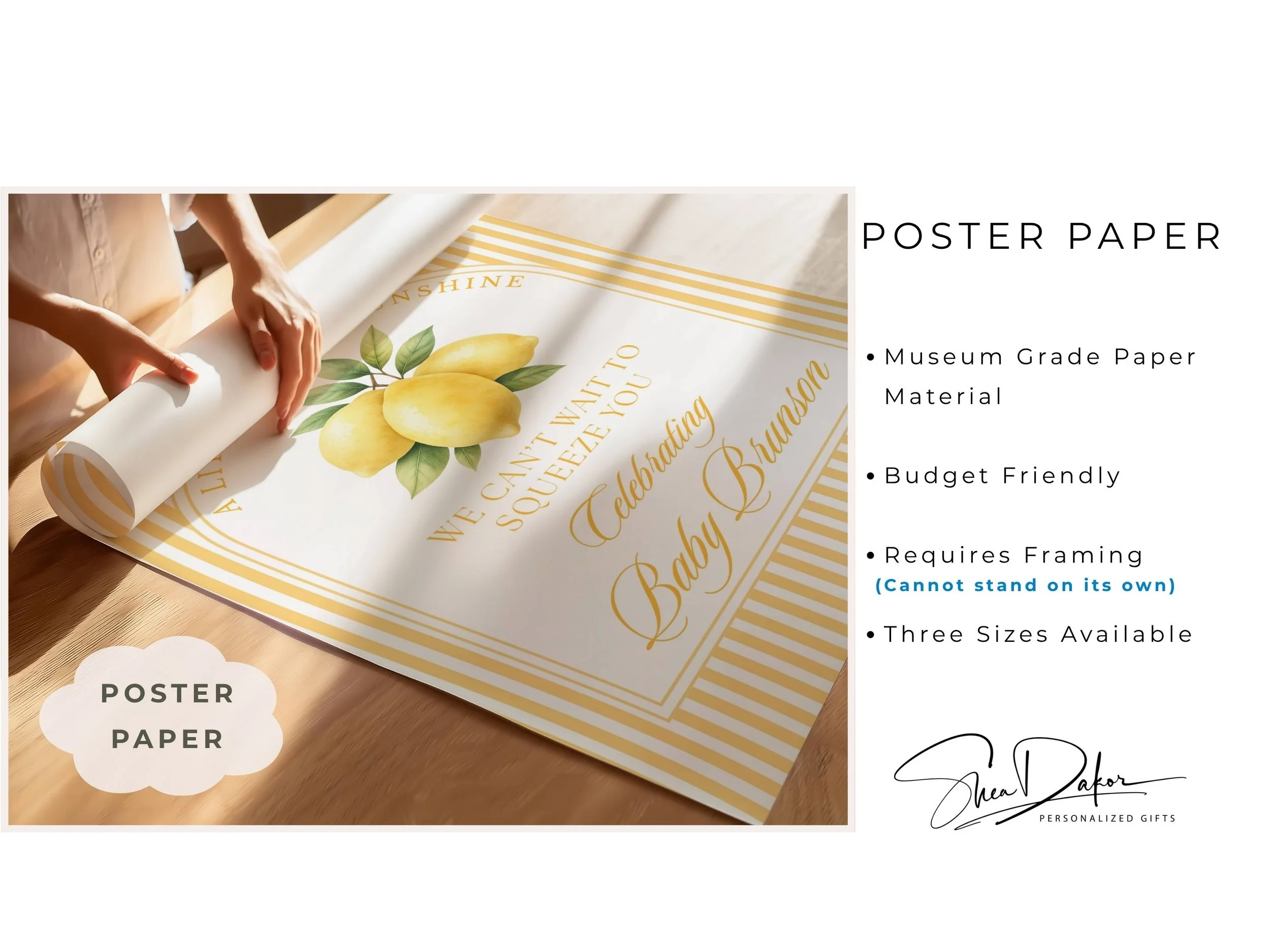 Baby Shower Poster 183.jpg