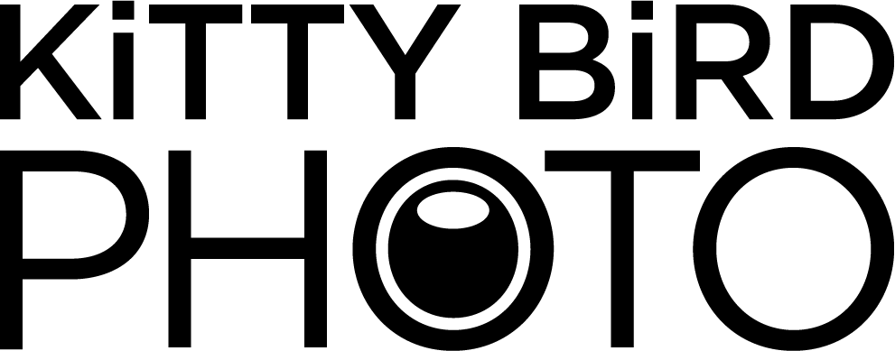 Logo for Kitty Bird Studio