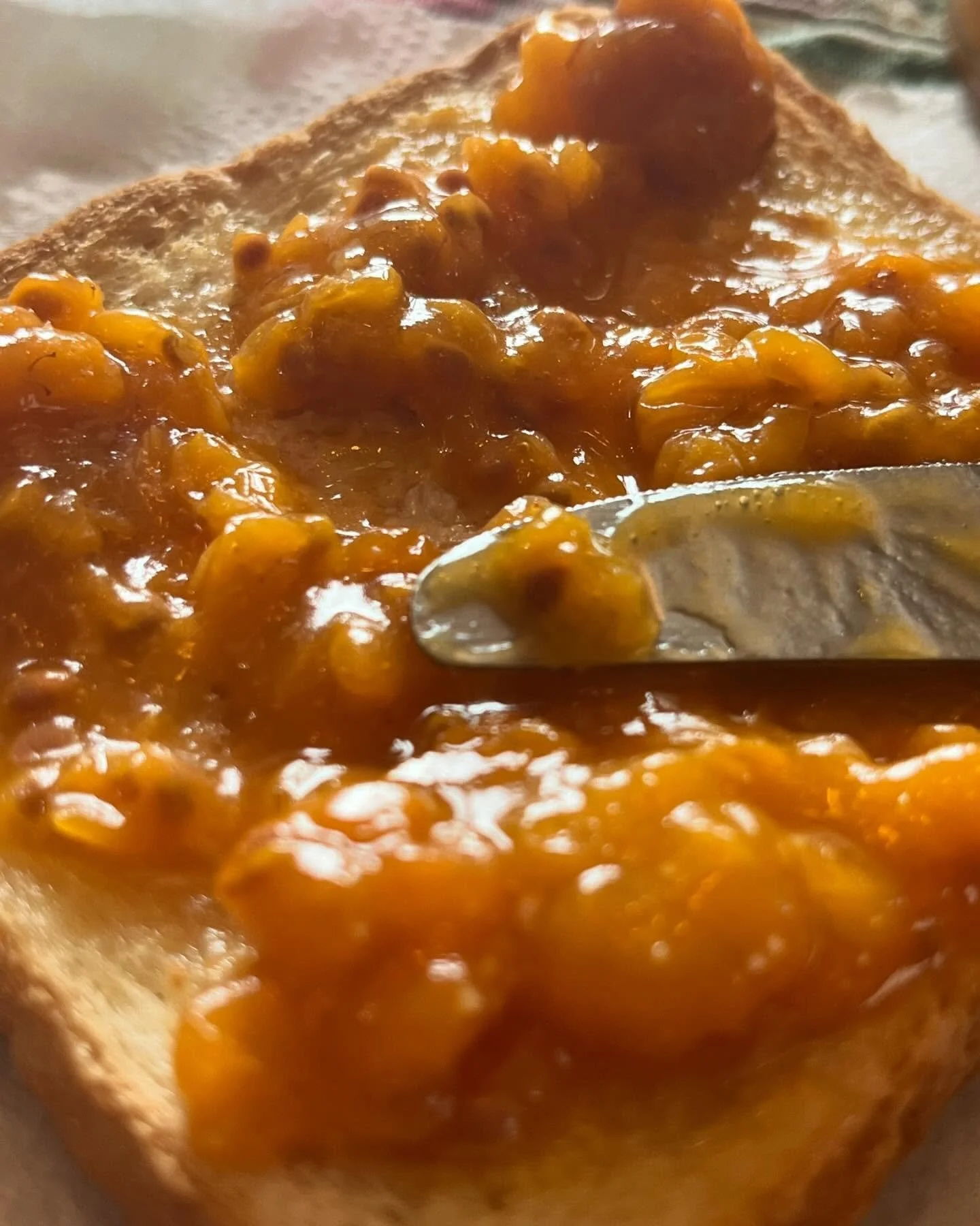 Bakeapple Jam