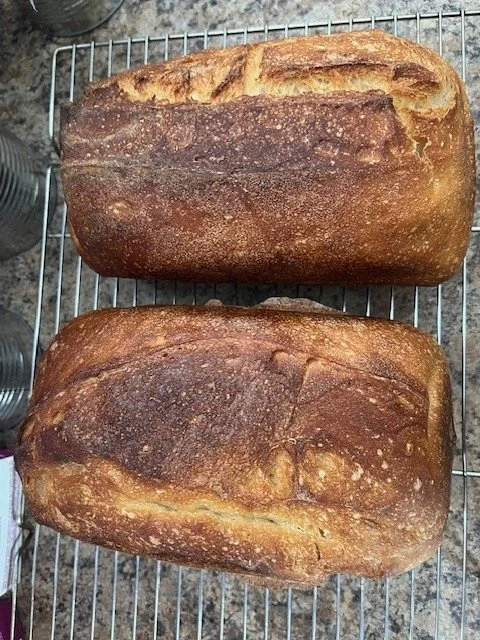 Sourdough Bread