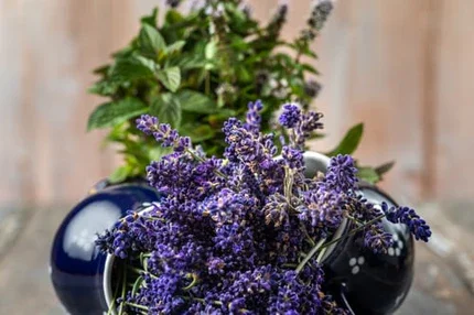 Lavender Mint Lip Balm