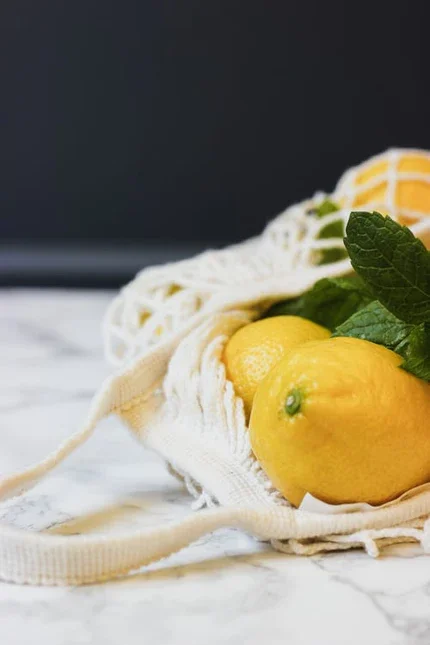 Citrus Mint Lip Balm
