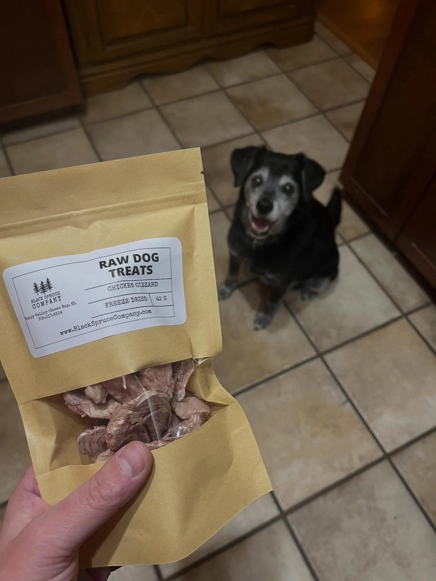 Freeze Dried Chicken Gizzard (Pet Treats)