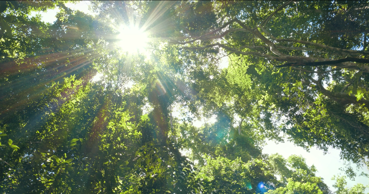 Screenshot 2026-09-24 125237.png
