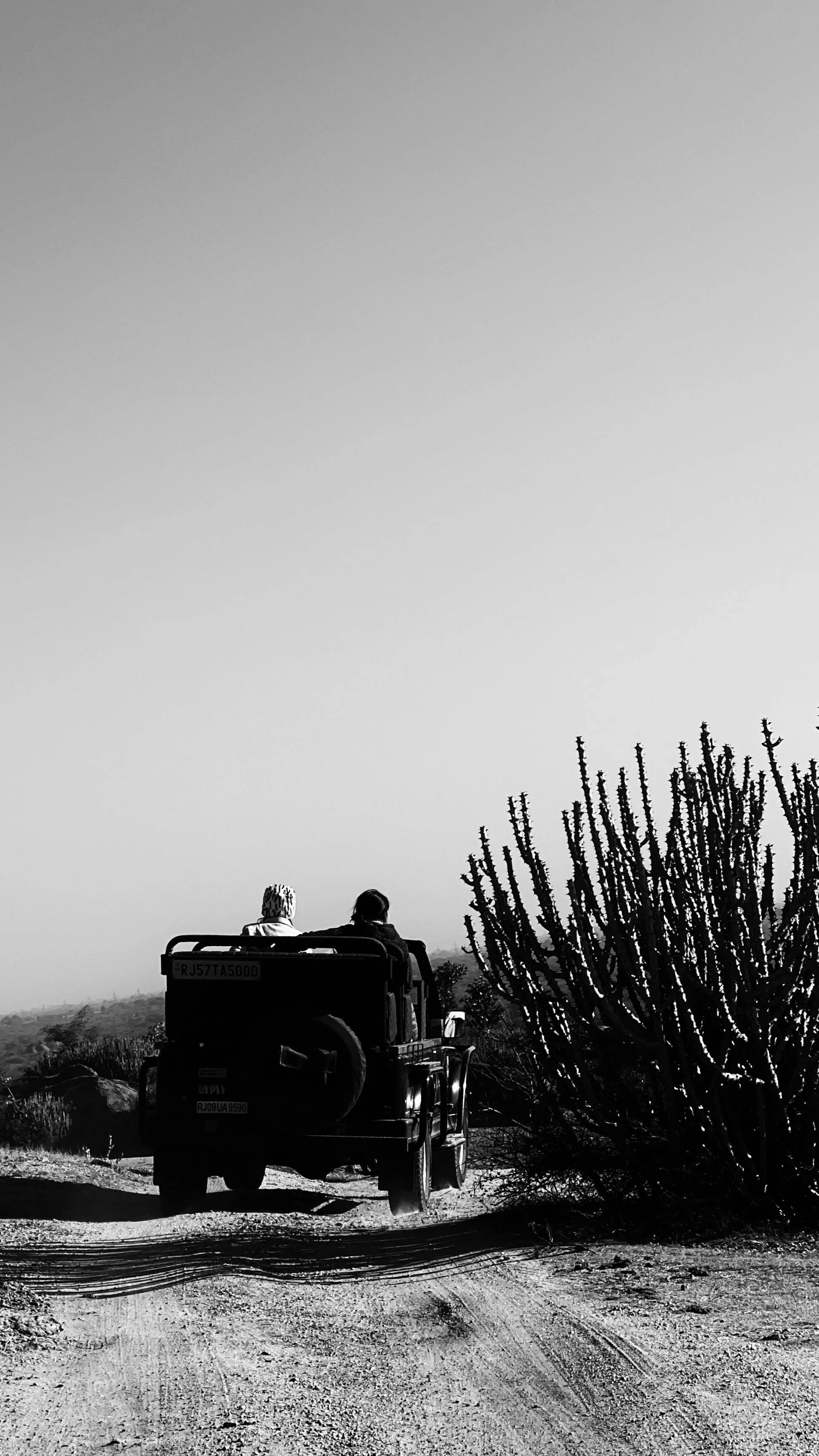 pexels-manishjangid-30195371.jpg