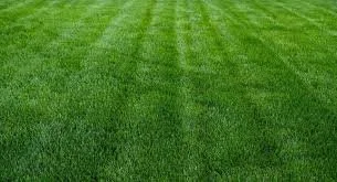 Weekly Lawn Maintanence