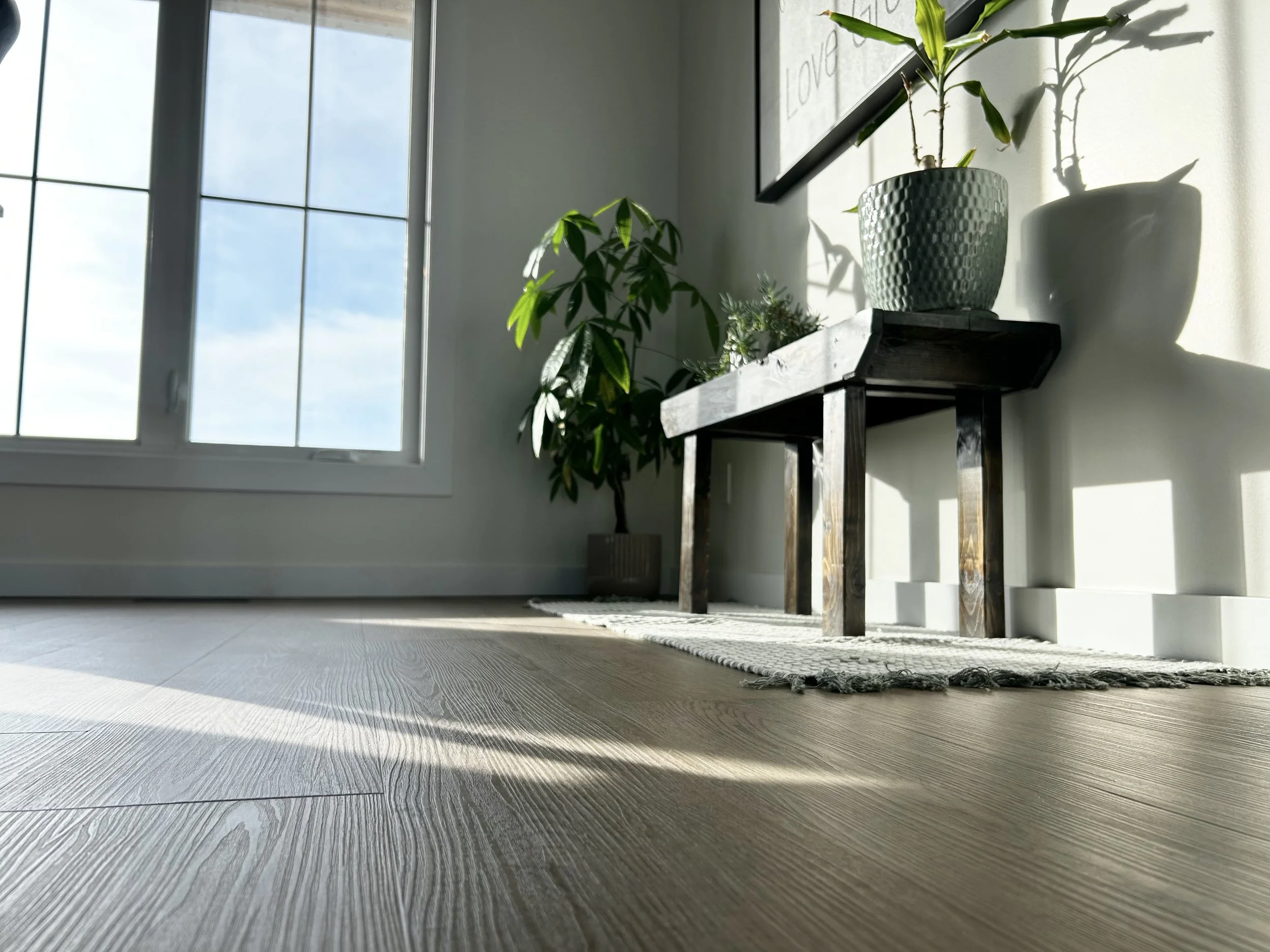 Sunlight entering a room through a window, illuminating a wooden floor, with a small table holding potted plants and a framed picture on the wall.