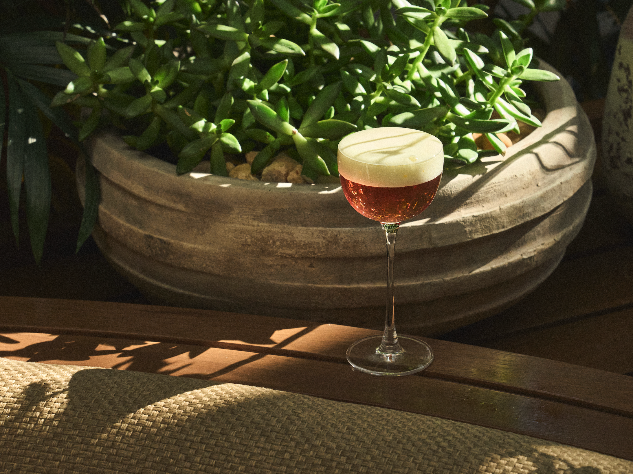An Alcoholic Drink on a table next to plants for brunch at AVA Coconut Grove.