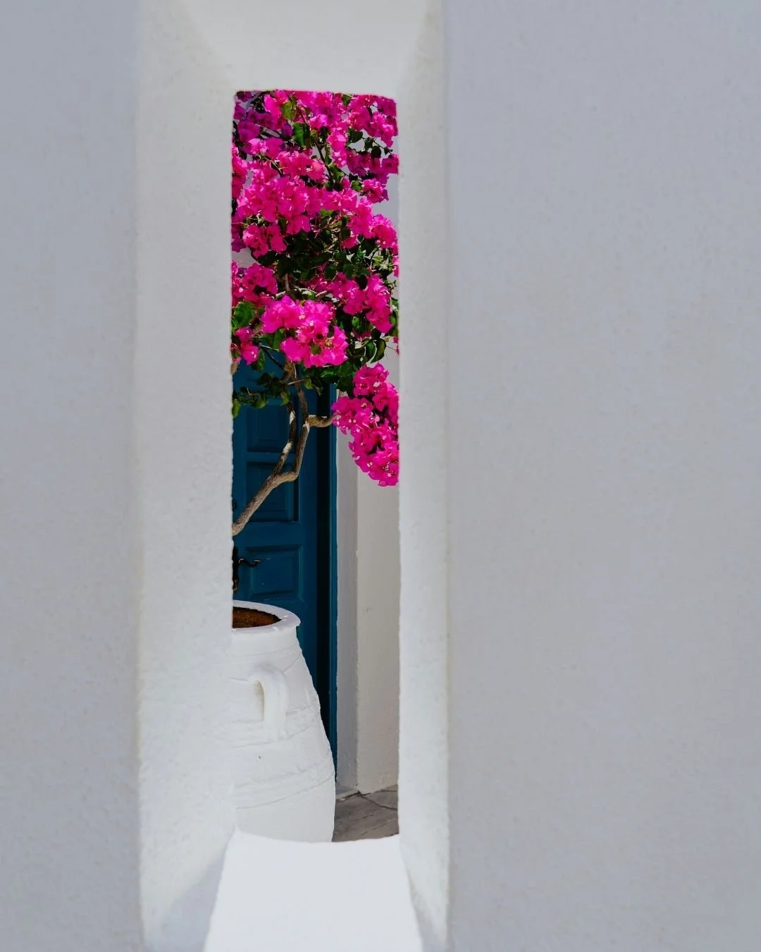 Rooted in the Mediterranean, brought to life at AVA MediterrAegean. Each texture, detail, and shared moment is a reflection of the places that continue to inspire us.