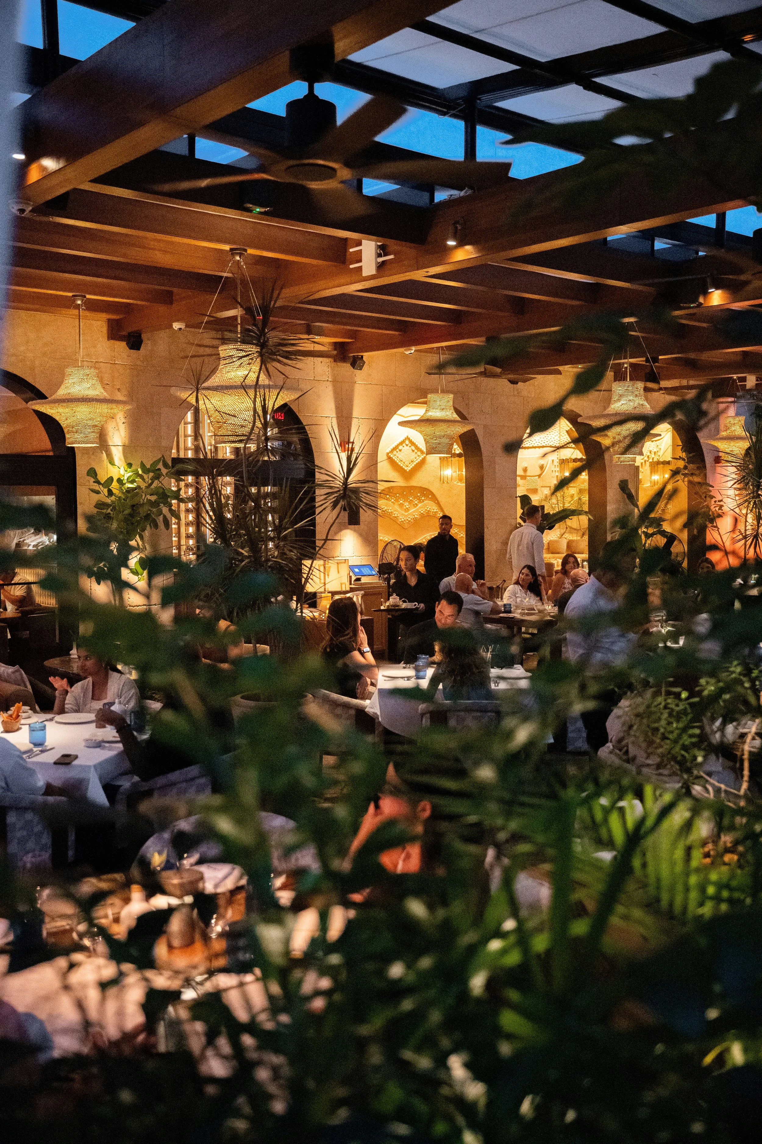People dining at a restaurant with warm lighting, plants, and wooden decor, during the evening.