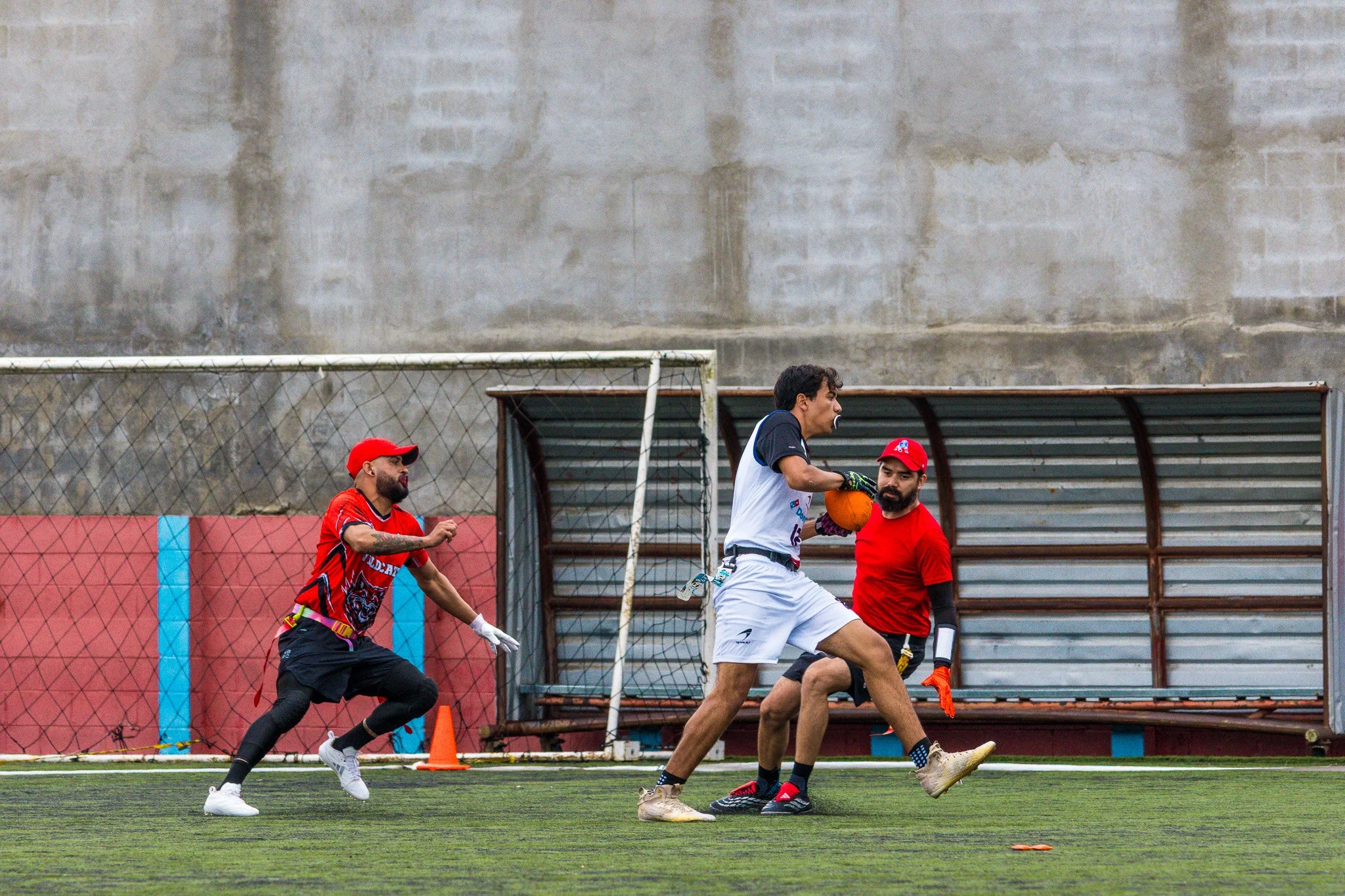 8X0A4337.JPG