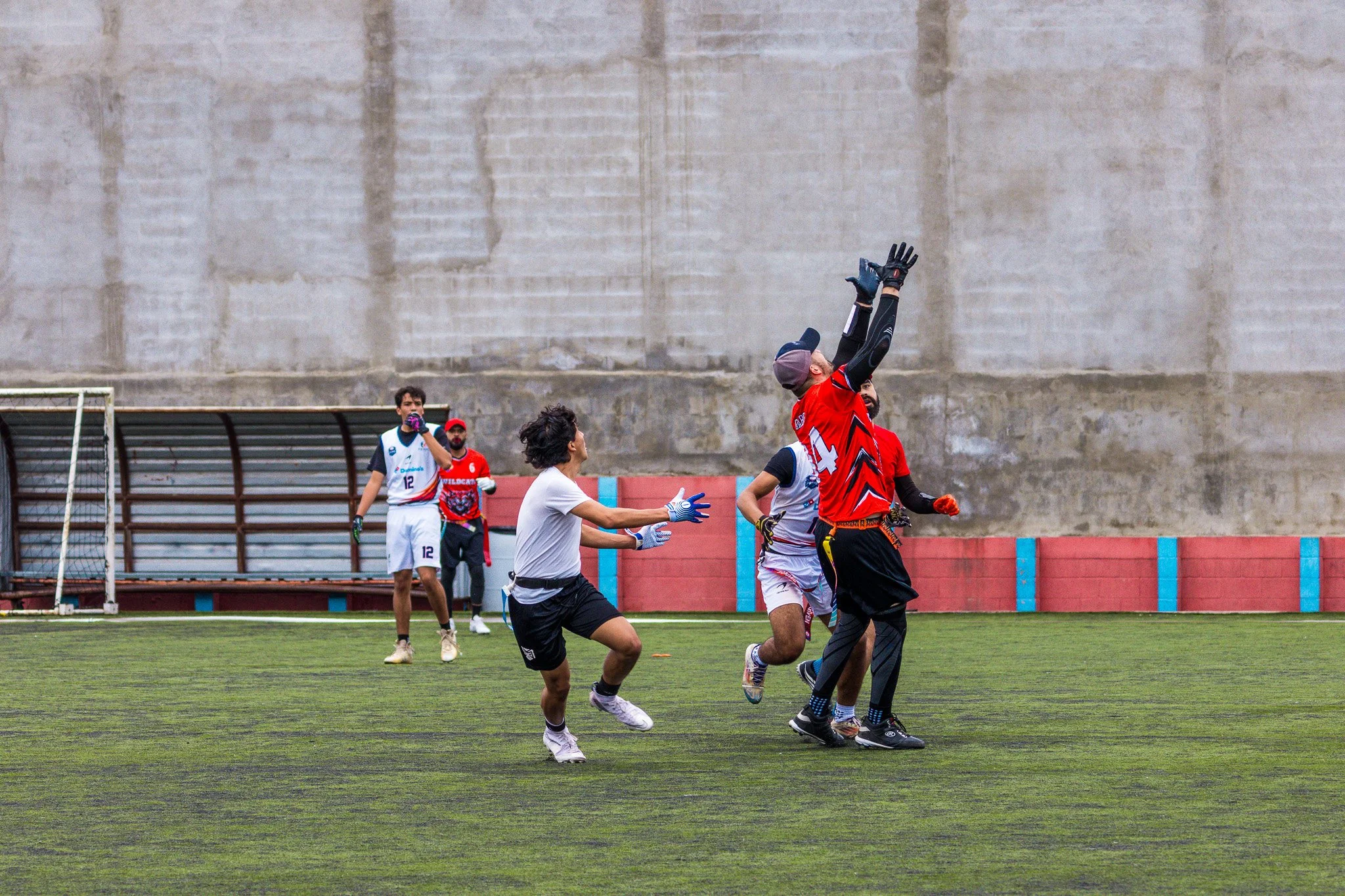 8X0A4545.JPG