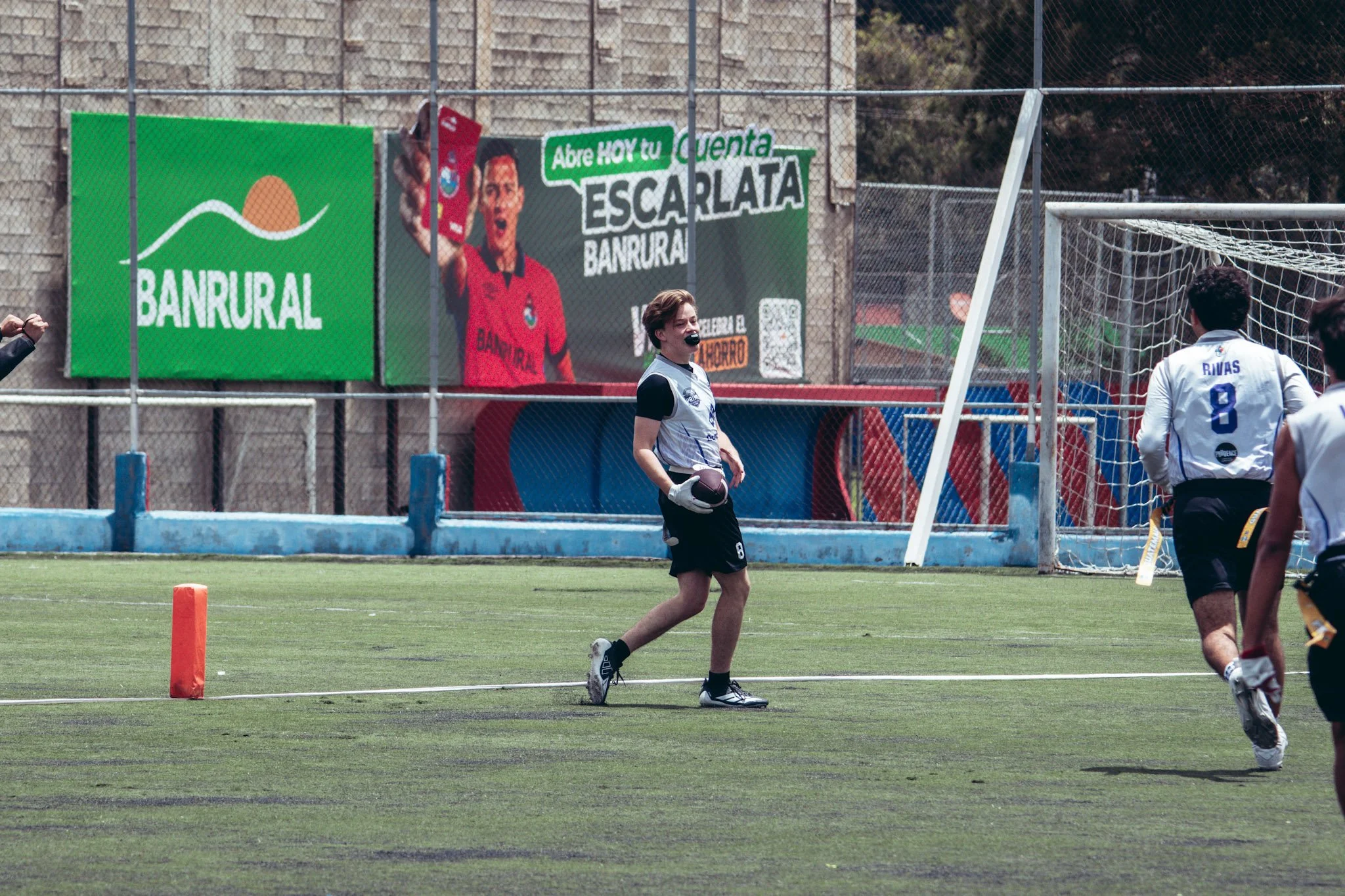 IMG_9478.JPG
