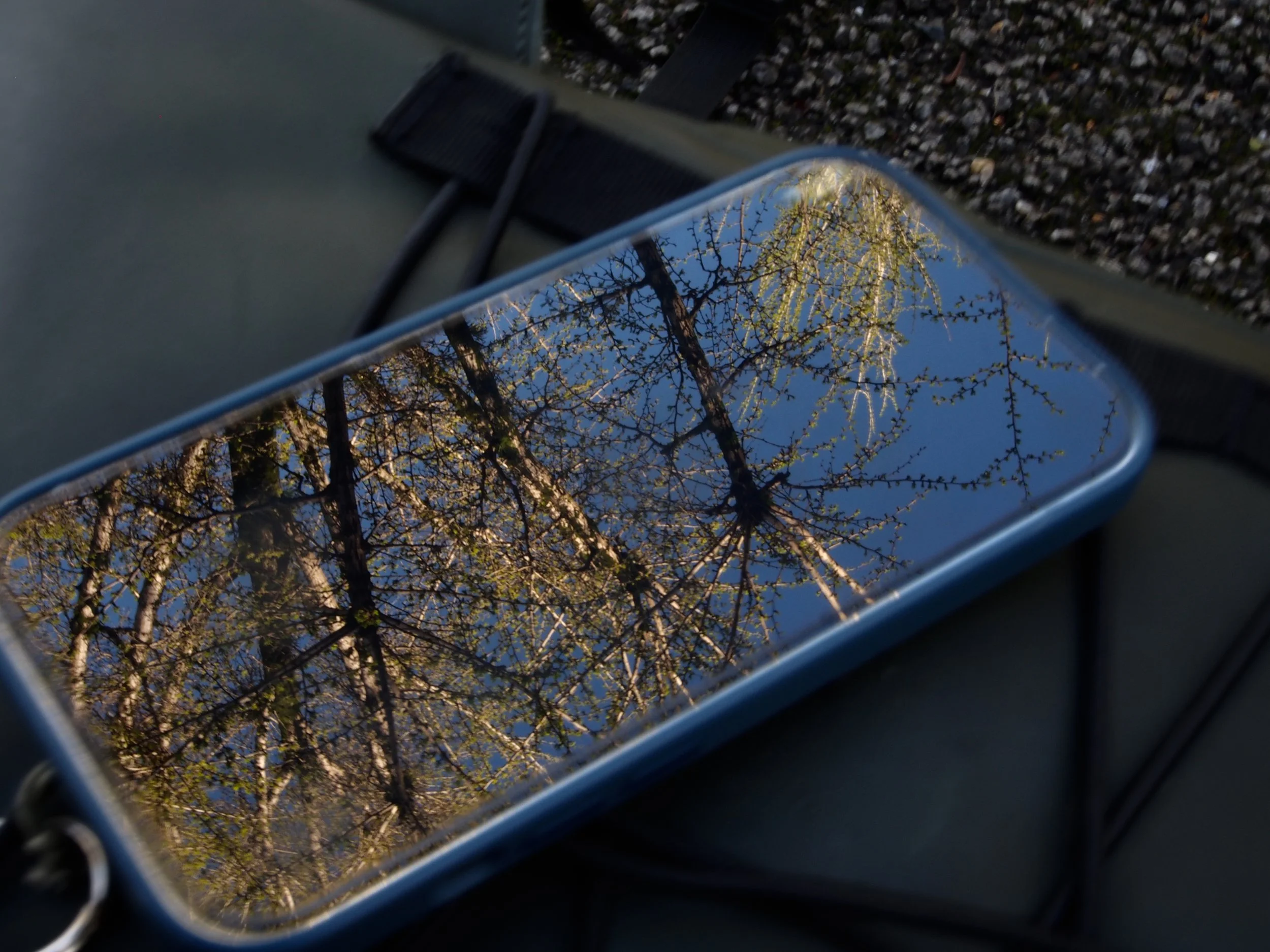 Smartphone with a reflection of tree branches and blue sky on the screen, placed on a dark surface.