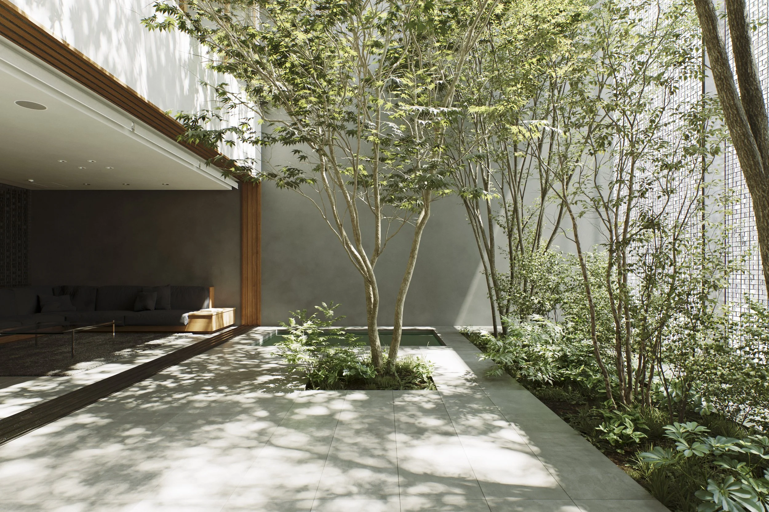 Indoor courtyard with large trees, sunlight casting shadows, and modern architecture including a gray wall, wooden beams, and tiled flooring.