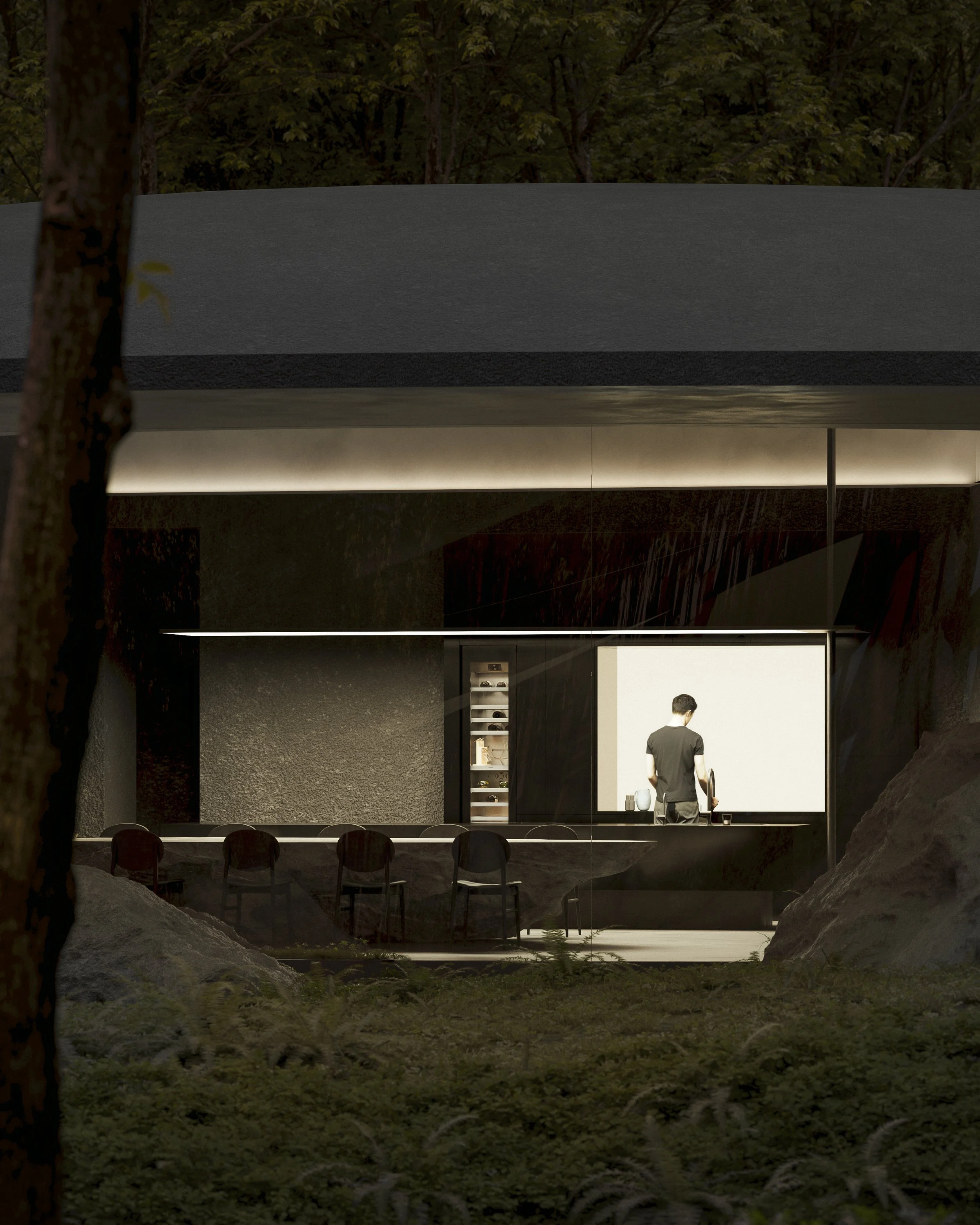 Modern house with large window showing a man inside in a kitchen, surrounded by trees and natural landscape at dusk.