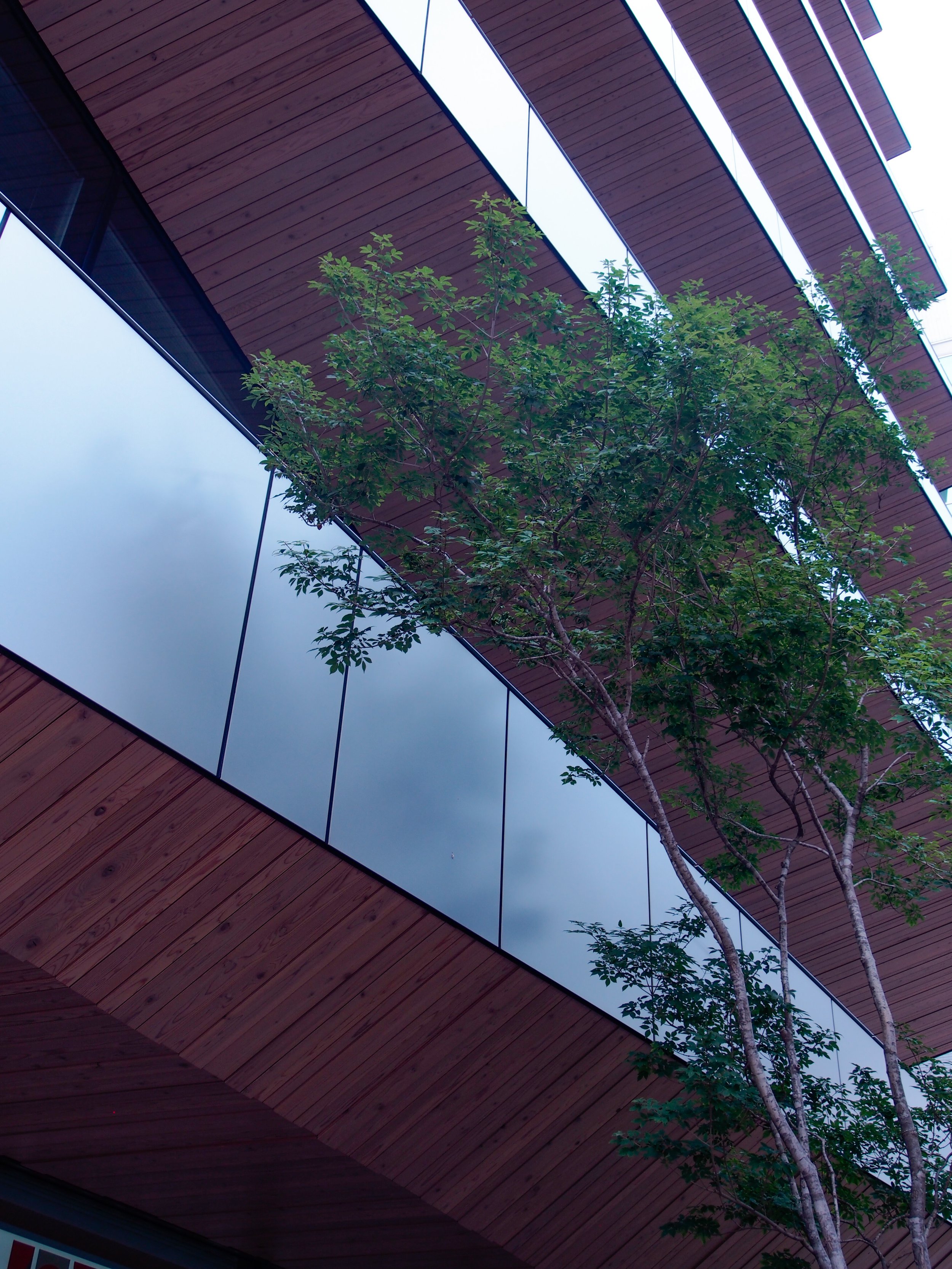 Modern building with wooden panels and reflective glass windows, with a green tree in front.