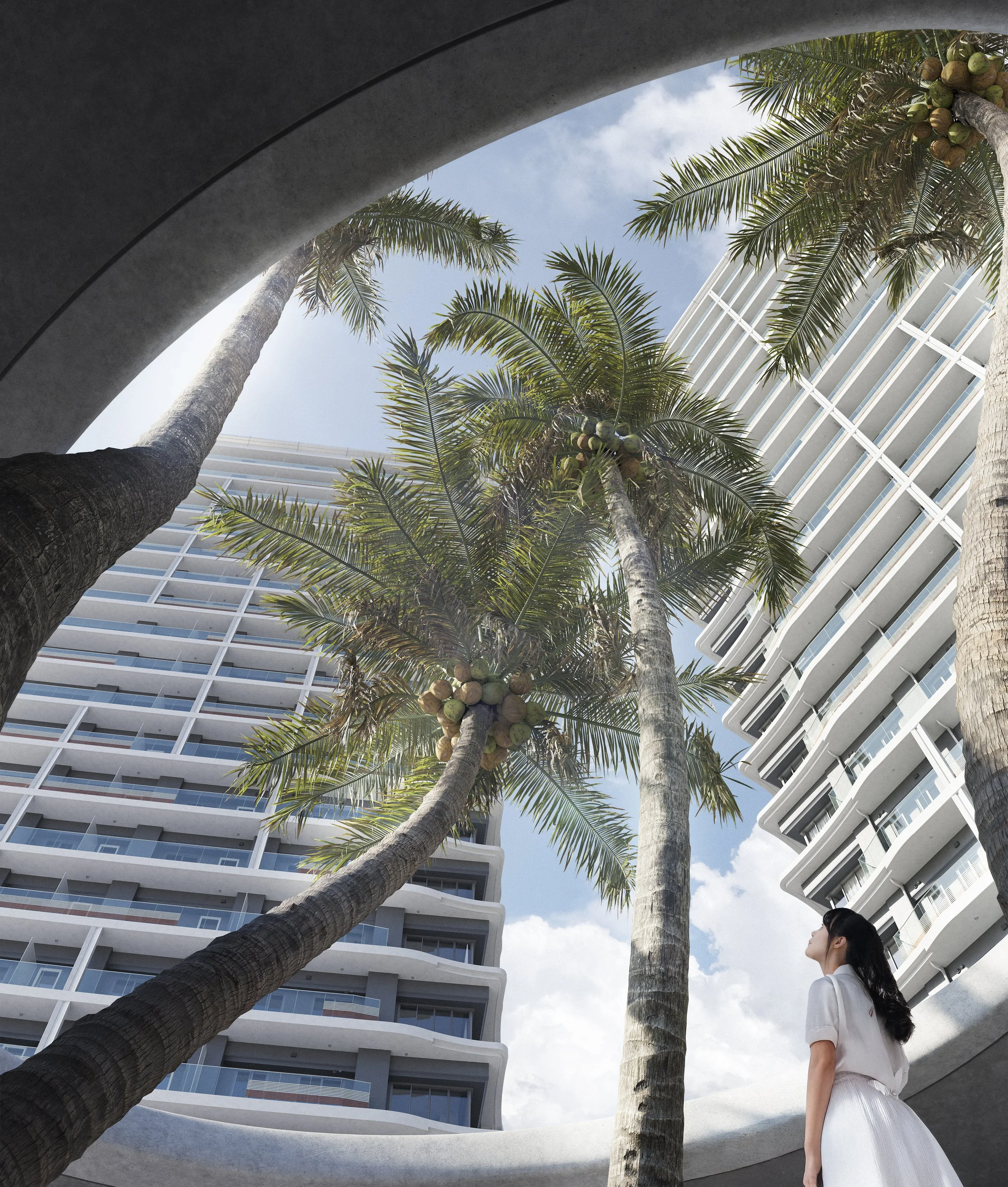 View of palm trees with coconuts against modern high-rise buildings and blue sky, seen from below, with a woman in white looking up at the trees.