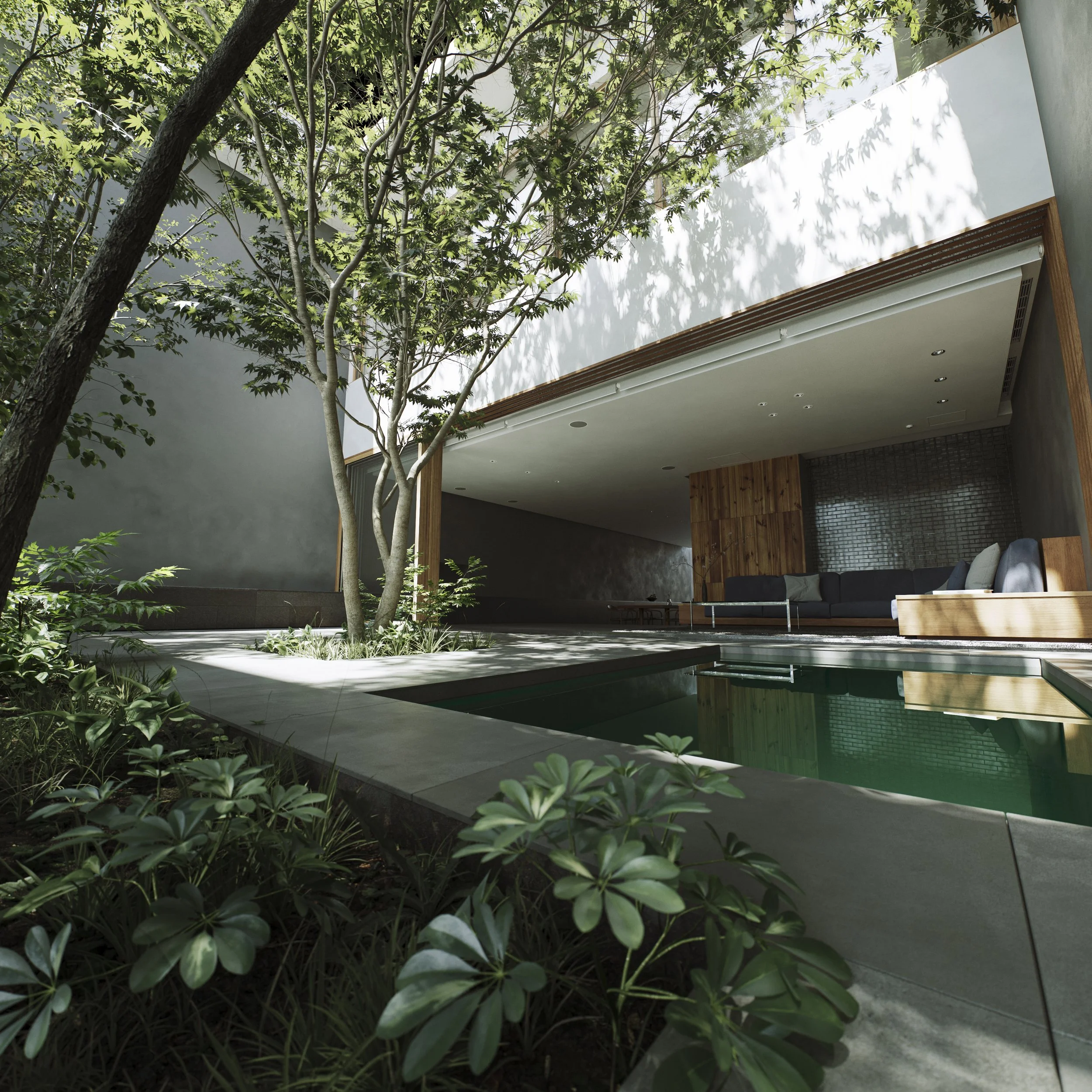 A modern indoor space with lush green plants and trees alongside a white wall and ceiling with recessed lighting.