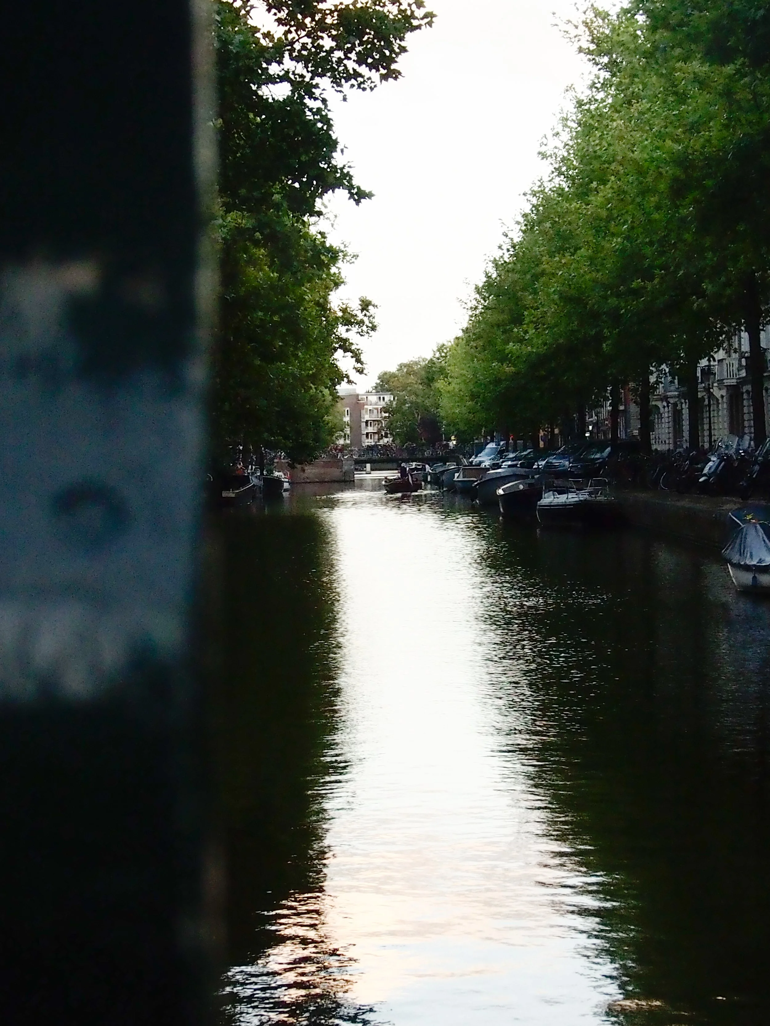A canal lined with green trees and houses on either side, with boats docked along the water, in an urban setting.