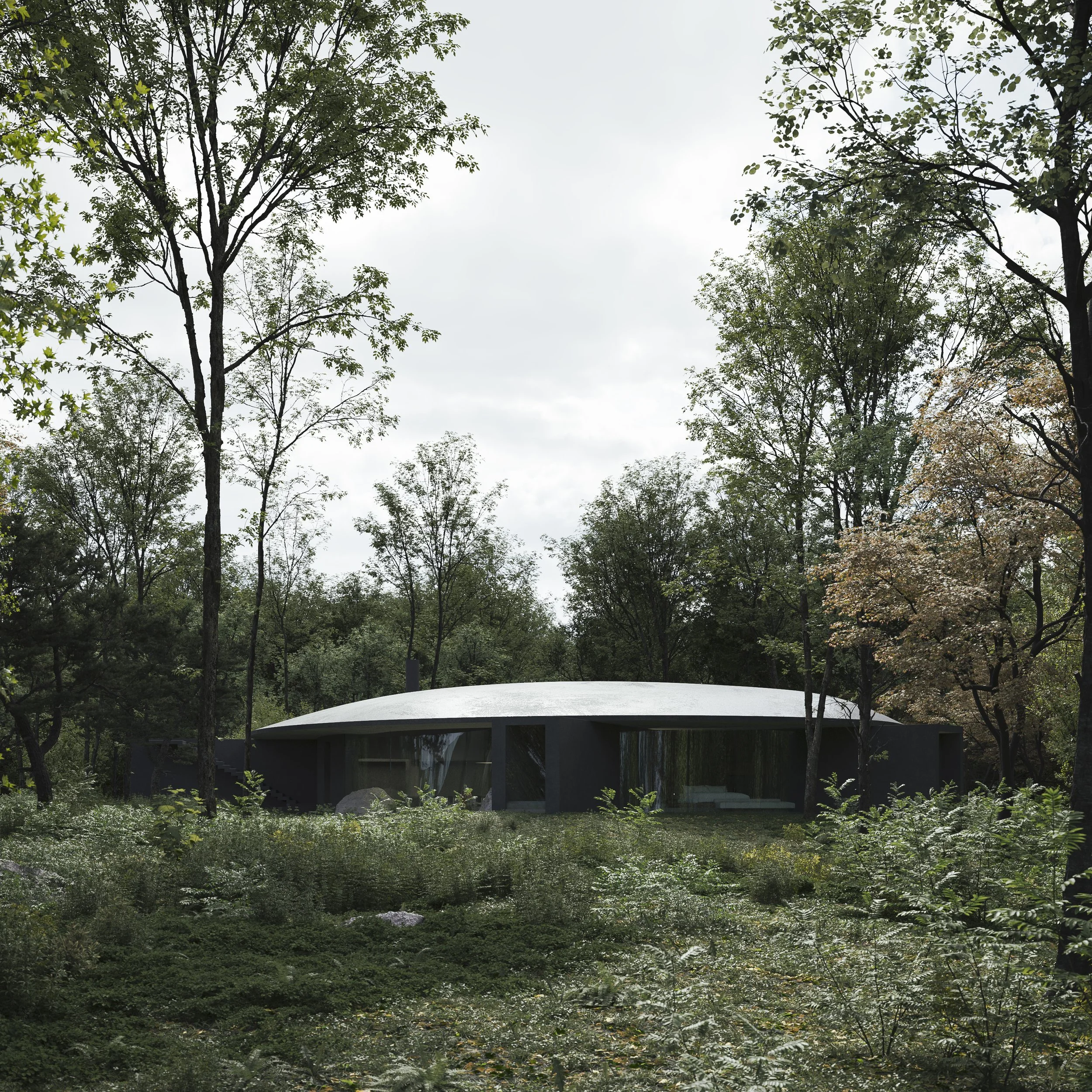 Modern house with a curved roof nestled among tall trees and lush greenery.