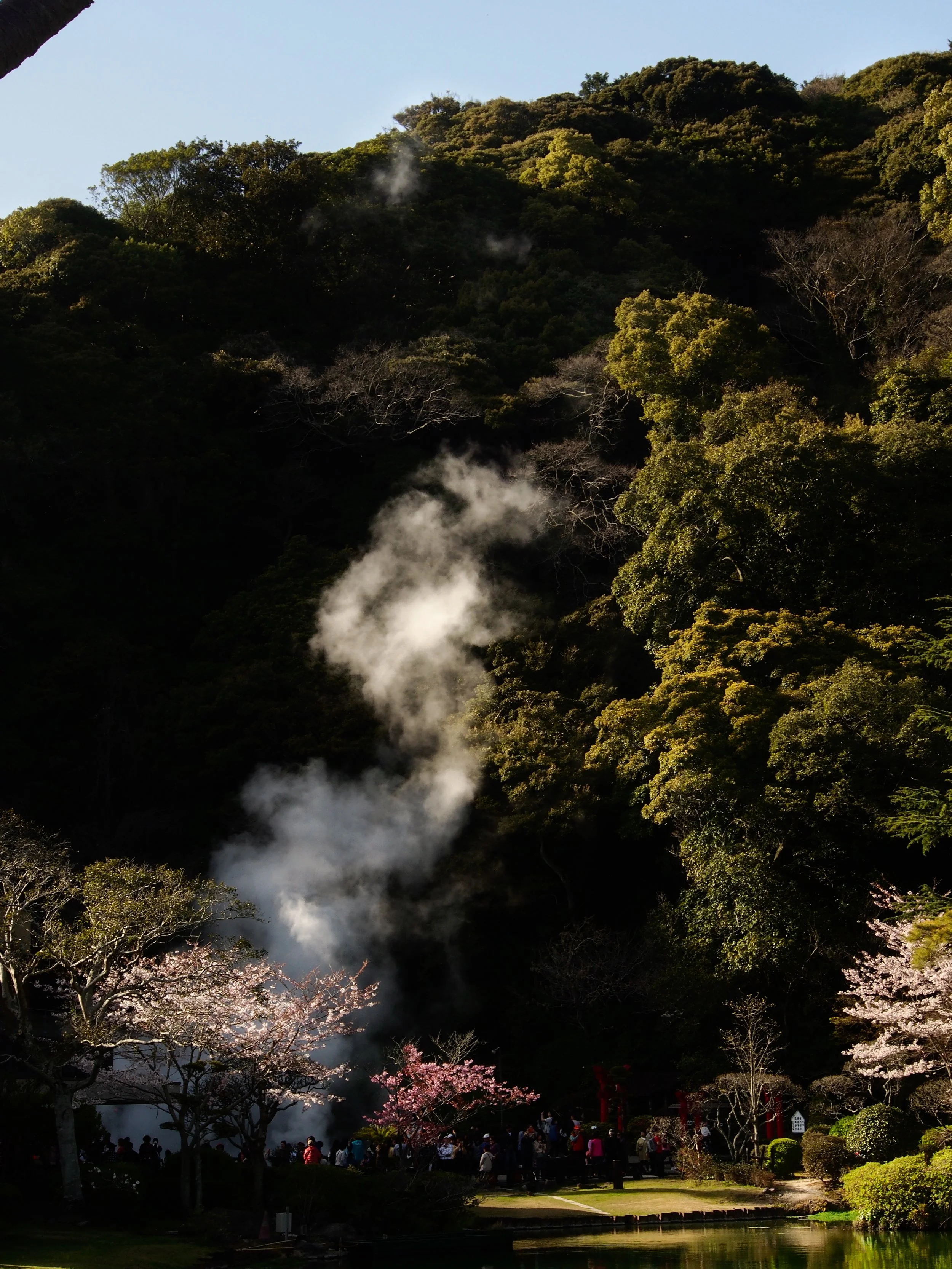 A lush hillside with trees, steam rising from hot springs, and pink cherry blossoms with people gathered near a traditional structure at the base of the hill.
