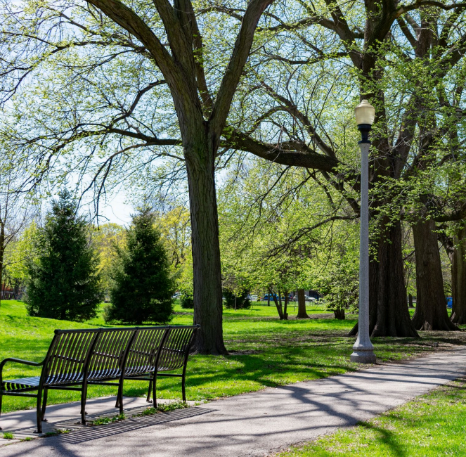A park scene with benches, trees, a lamp post, and a paved walkway on a sunny day.
