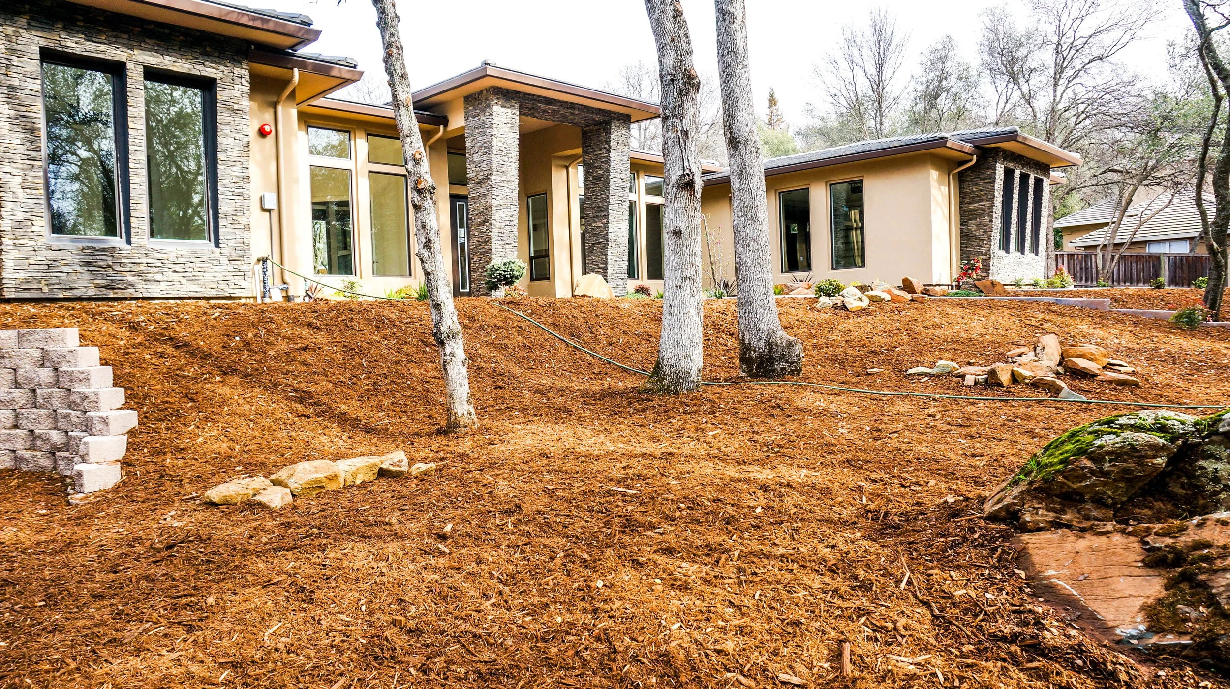 Kitchen 12 (1 of 1)-2.jpg