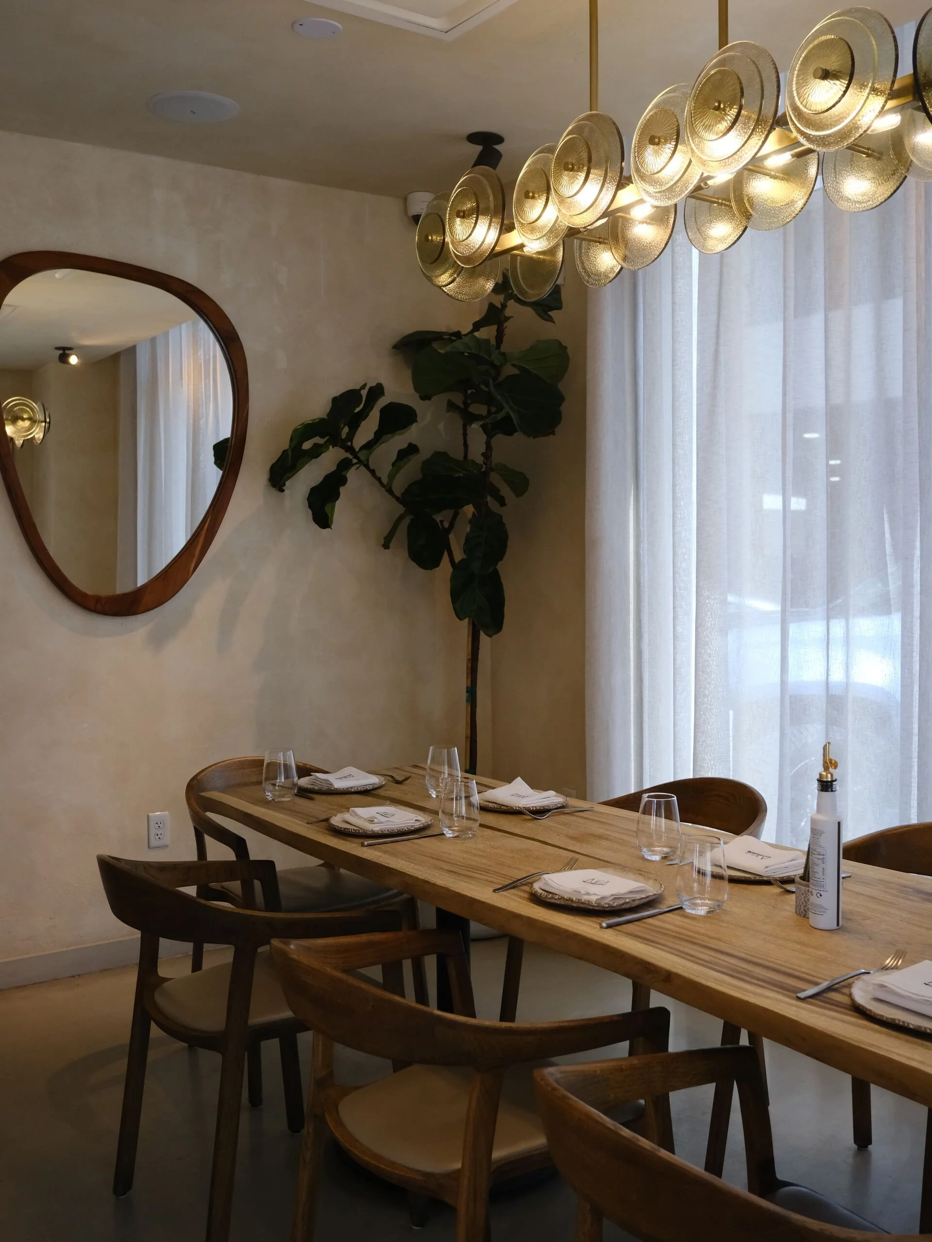 A dining room with a wooden table set for a meal, including plates, cloth napkins, and glasses. There are wooden chairs around the table. A large modern chandelier hangs above, and a tree with large dark green leaves is positioned against a beige wal