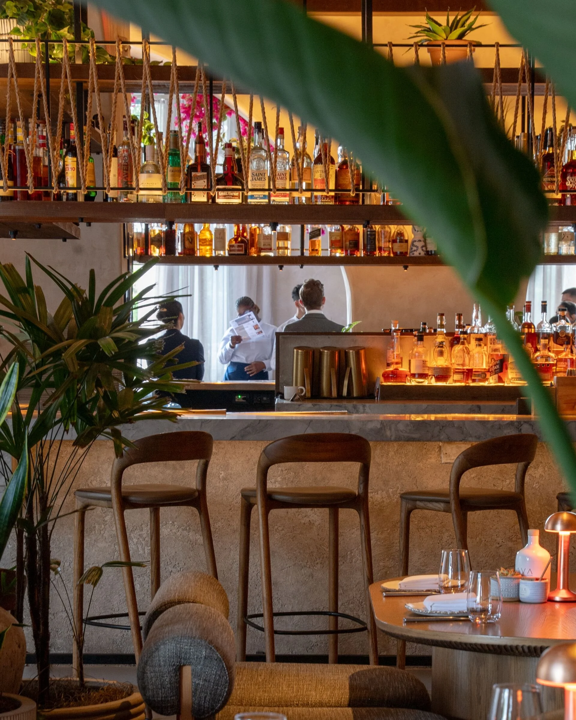 Interior of a restaurant or bar with wooden chairs, plants, and shelves with bottles of alcohol, seen through green indoor plants in the foreground.
