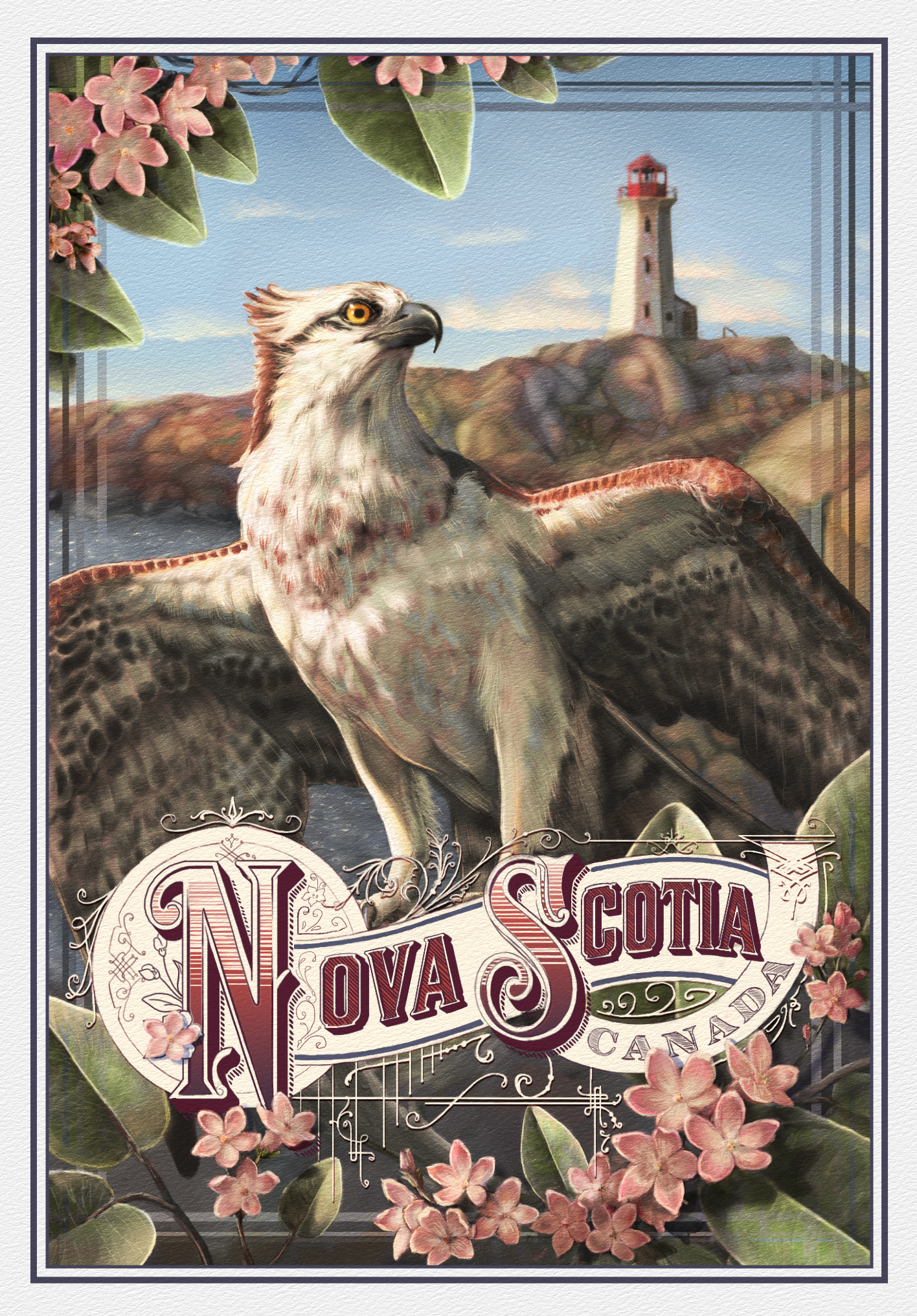 Osprey Firstedition_.png
