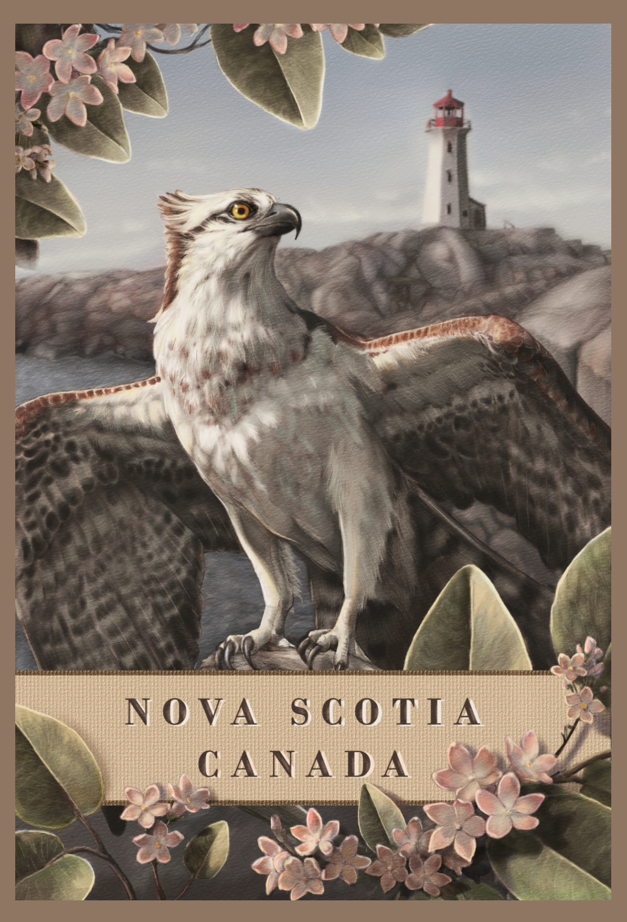 Atlantic Postcard Collection No. 1