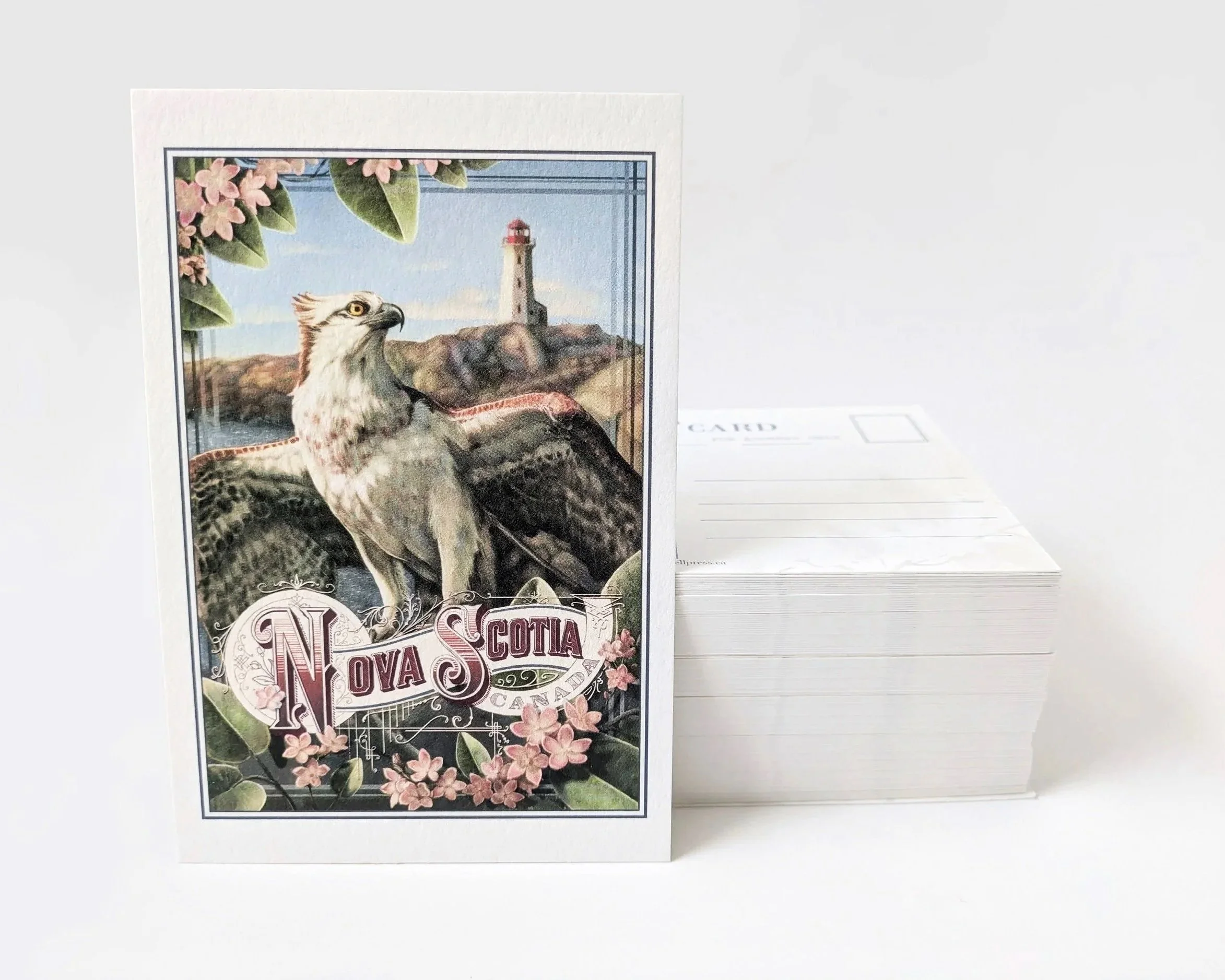 postcards2.jpg