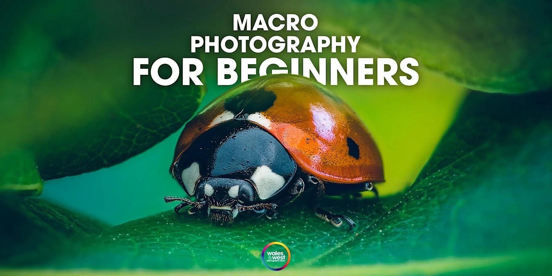 Close-up of a ladybug on a green leaf, with text overlay reading 'Macro Photography for Beginners' and a small Wales & West Photography Show logo at the bottom.