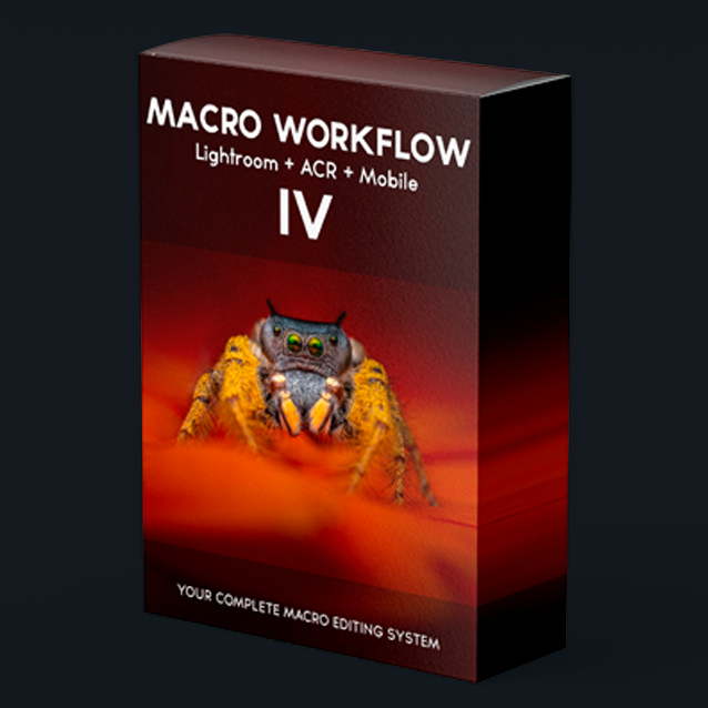 Product box for MACRO WORKFLOW IV, a macro editing system compatible with Lightroom, ACR, and mobile devices, featuring an image of a jumping spider on the front.