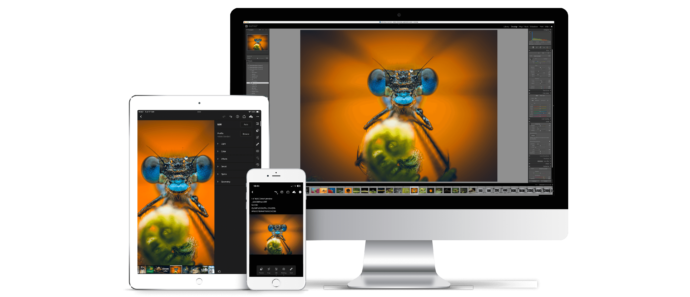 Multiple electronic devices showing a digital artwork of a surreal creature with a blue face and large ears, set against an orange background.