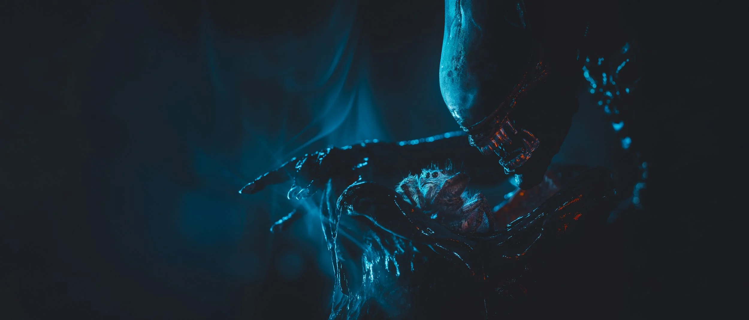 Close-up of a spider with a person holding a tool near it, illuminated with blue light in a dark environment.
