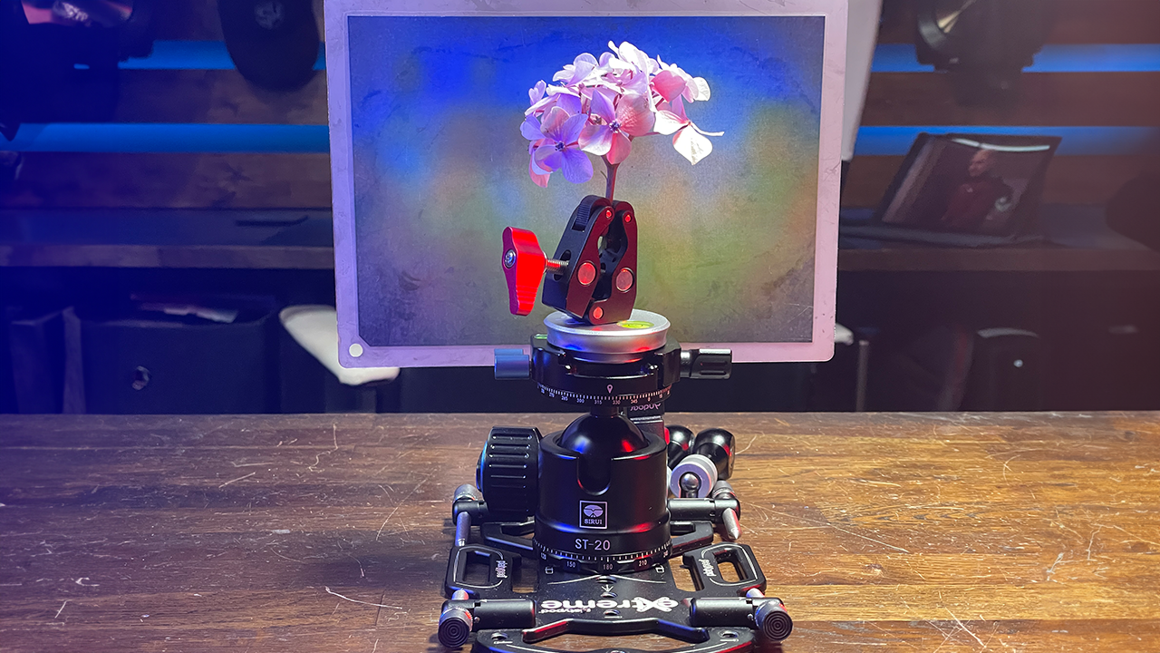 A camera tripod on a wooden table holding a monitor displaying a pink and white flower