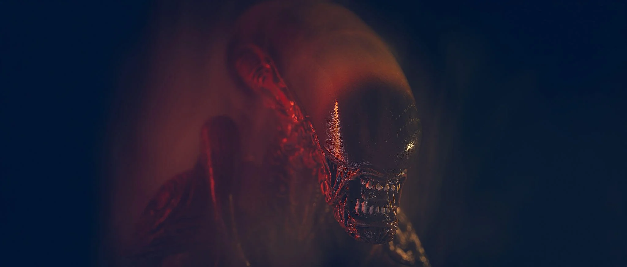 Close-up of a human skull with dark background and red lighting, creating a eerie and sinister appearance.