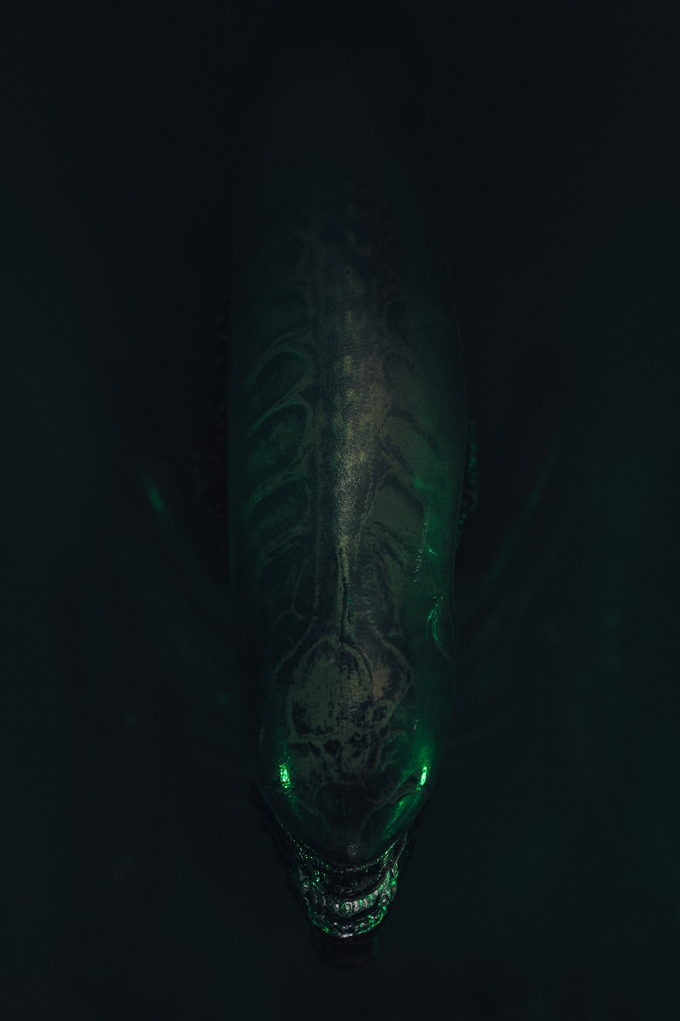 A close-up of a glowing, transparent dinosaur skull illuminated with green light against a dark background.