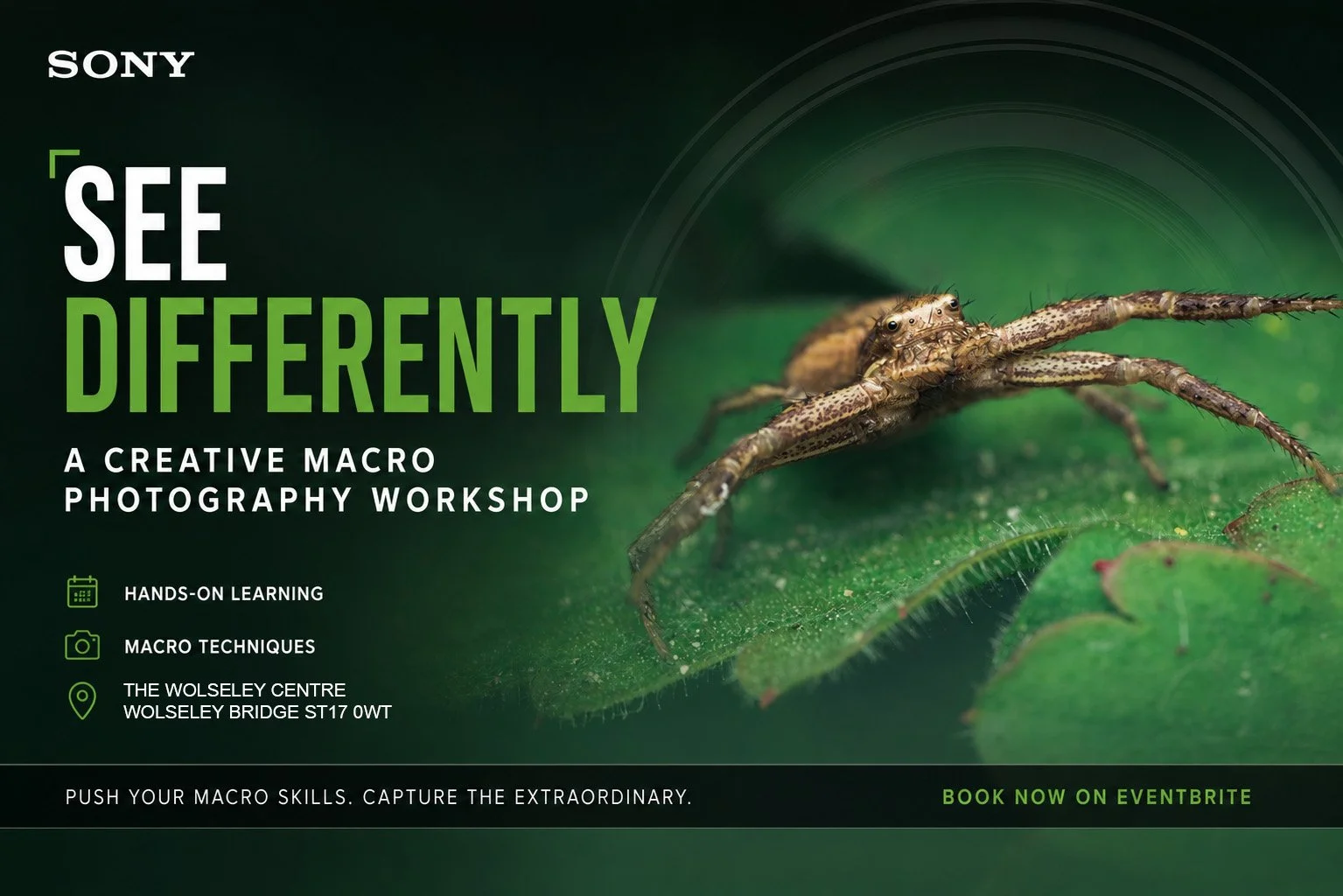 Flyer for a macro photography workshop with the headline "See Differently" and a close-up of a small spider on a green leaf. The flyer mentions hands-on learning, macro techniques, and the location at The Wolseley Centre, Wolseley Bridge. It encourages booking on Eventbrite.