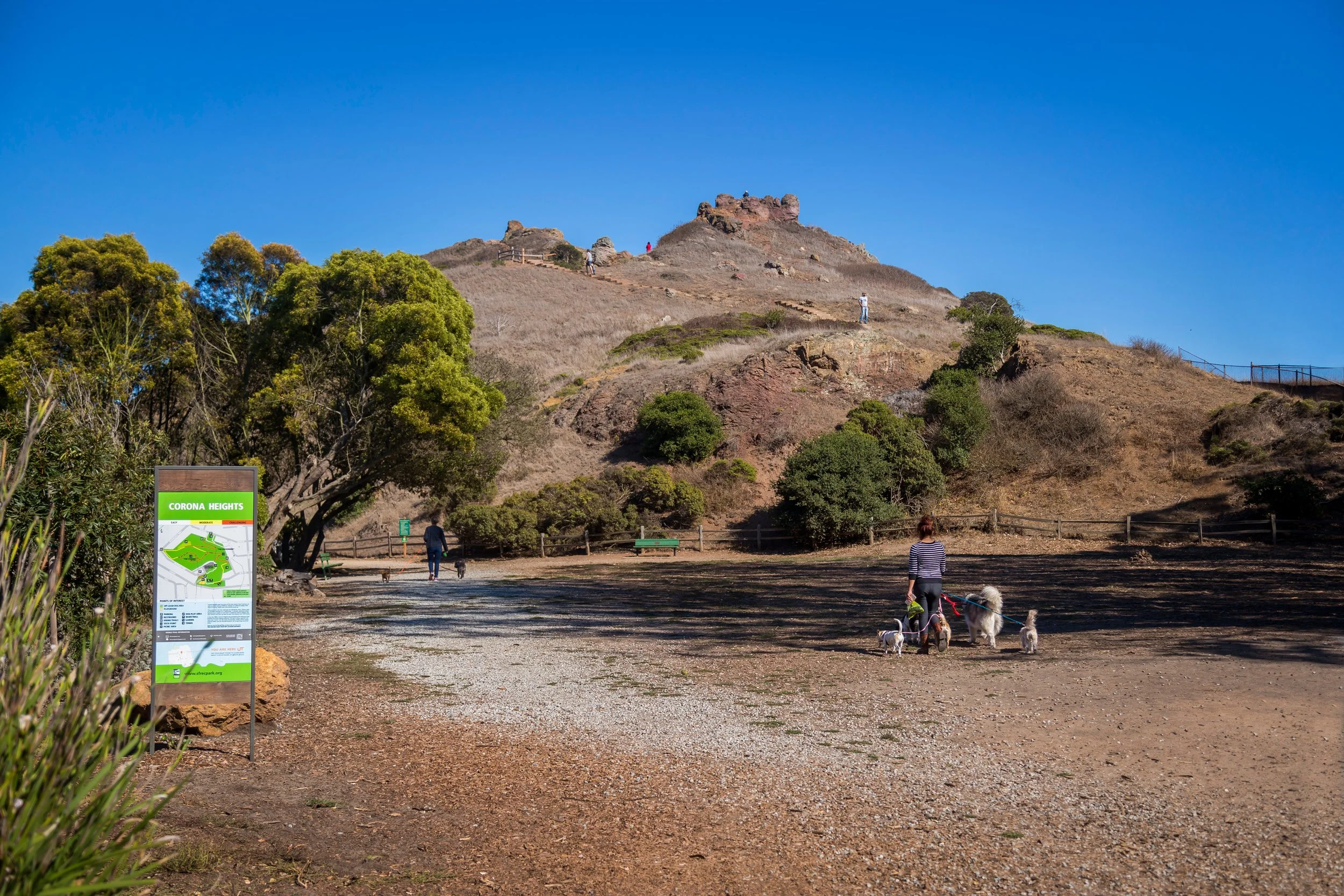 A park trail leading towards a hilly landscape with a sign that reads 'Corona Heights.' People are walking dogs along the dirt path, with trees on the left and a dry, grassy hill in the background under a clear blue sky.
