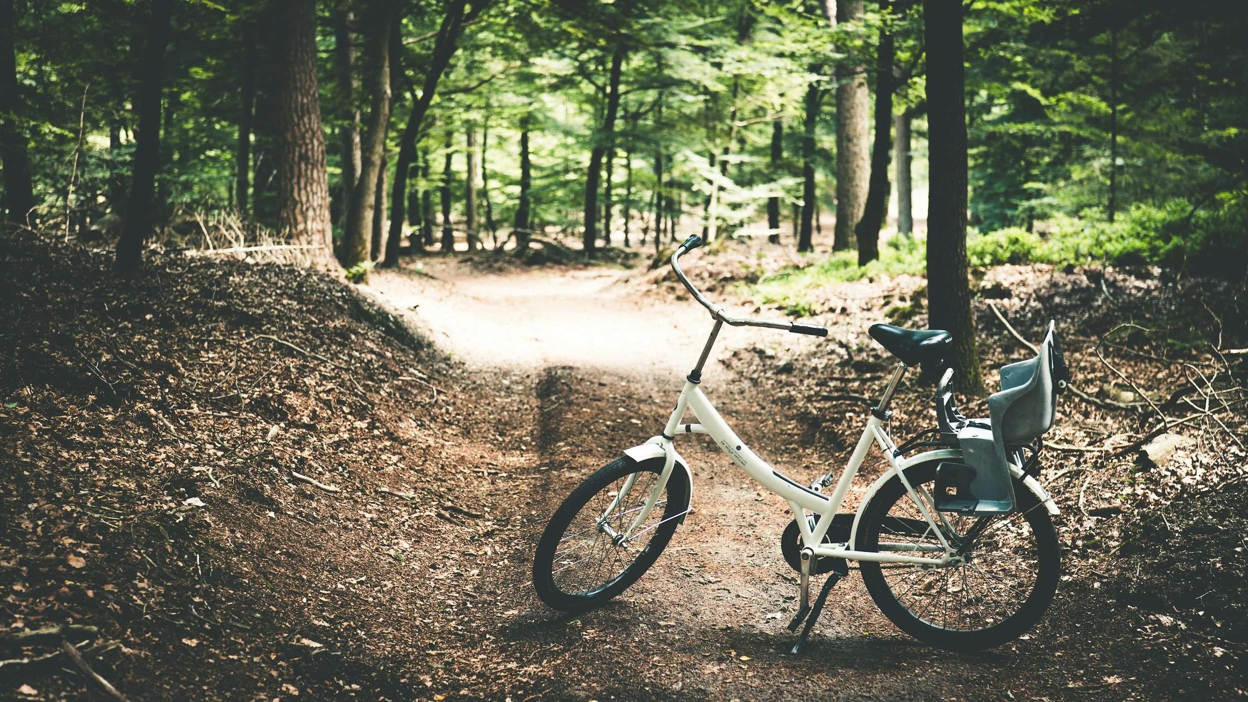 A white bicycle with a child seat parked on a dirt trail in a lush green forest.