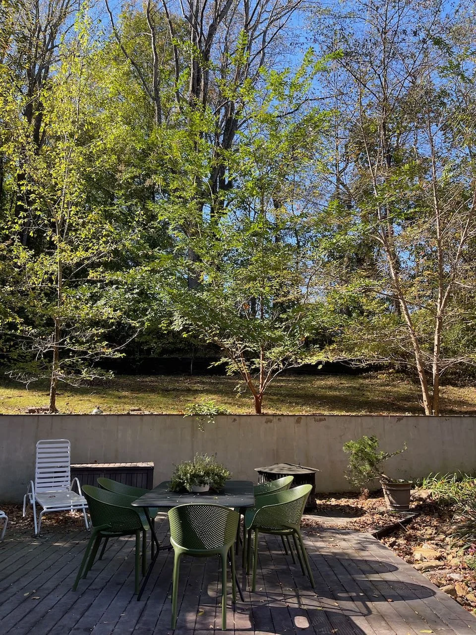 Outdoor patio with a table and chairs, potted plants, and a wooden deck, backed by a grassy yard and trees with bare and leafy branches under a blue sky.