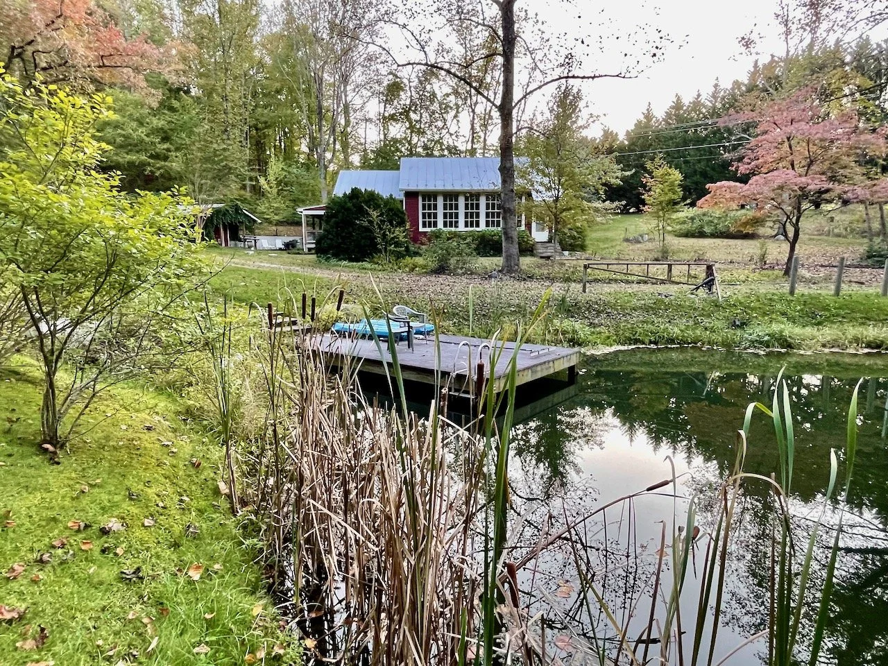 A peaceful backyard scene with a pond, a small dock with lounge chairs, surrounded by trees and greenery, some trees with pink blossoms, and a house with a metal roof in the background.