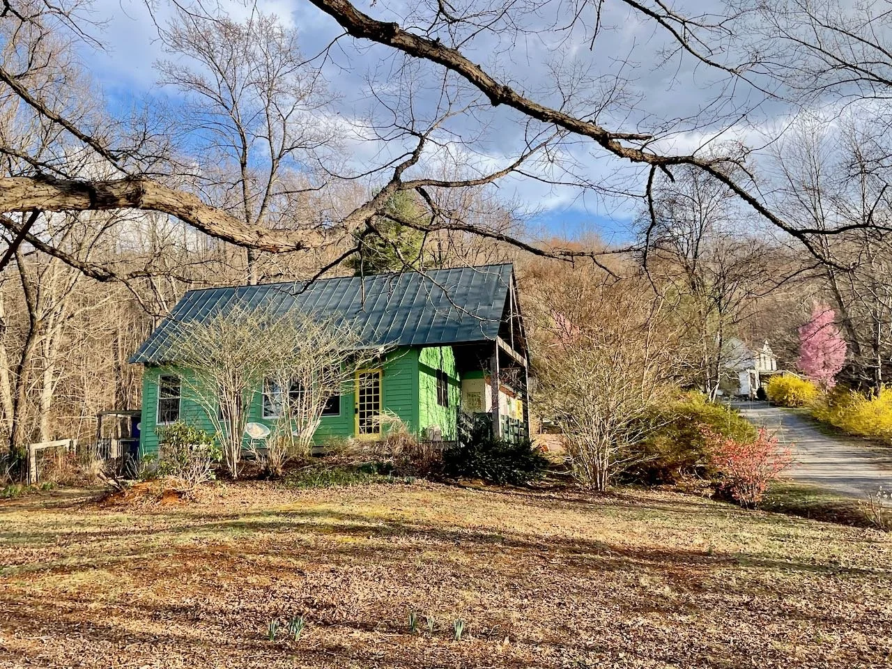 A small green house with a metal roof sits in a yard surrounded by leafless trees and bushes, with a driveway and other houses visible in the background.