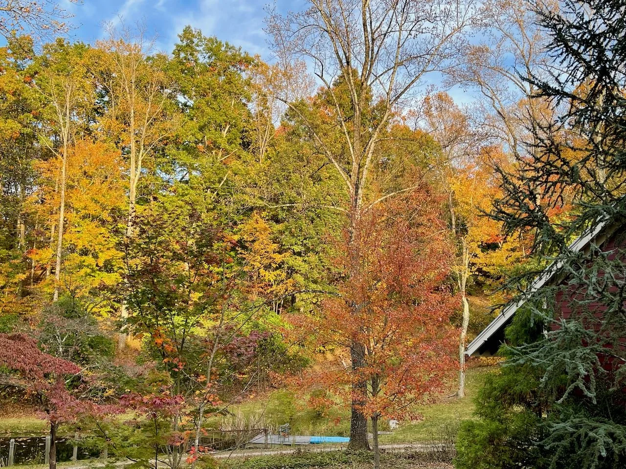 Colorful trees with fall foliage surrounding a pond, with a house partially visible on the right side.